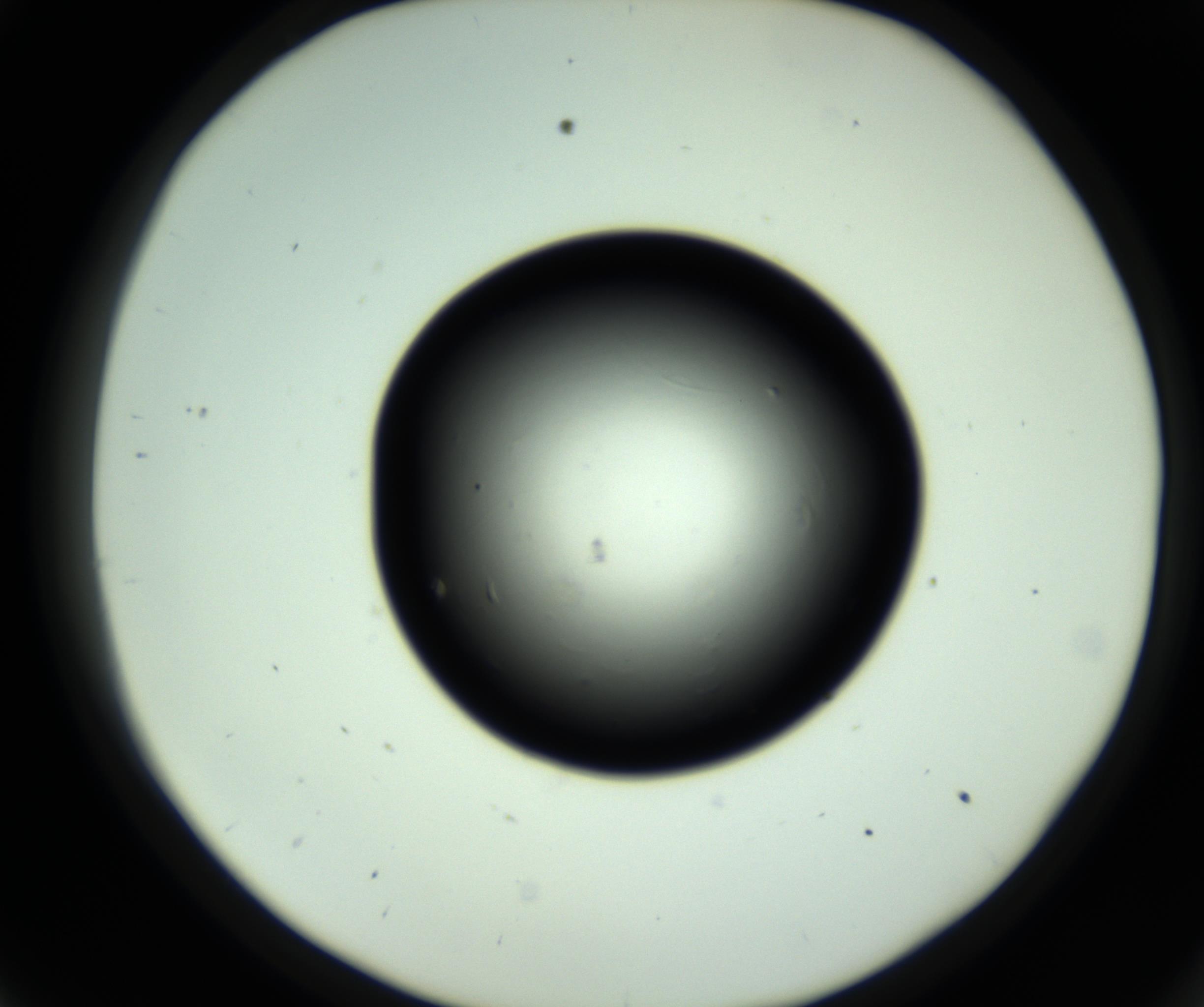 RI01_03_000_0212_Proj1_Clon1_MC_0000MC102809_006_161013_09_03_02_00_98_002_001_RAI.jpg