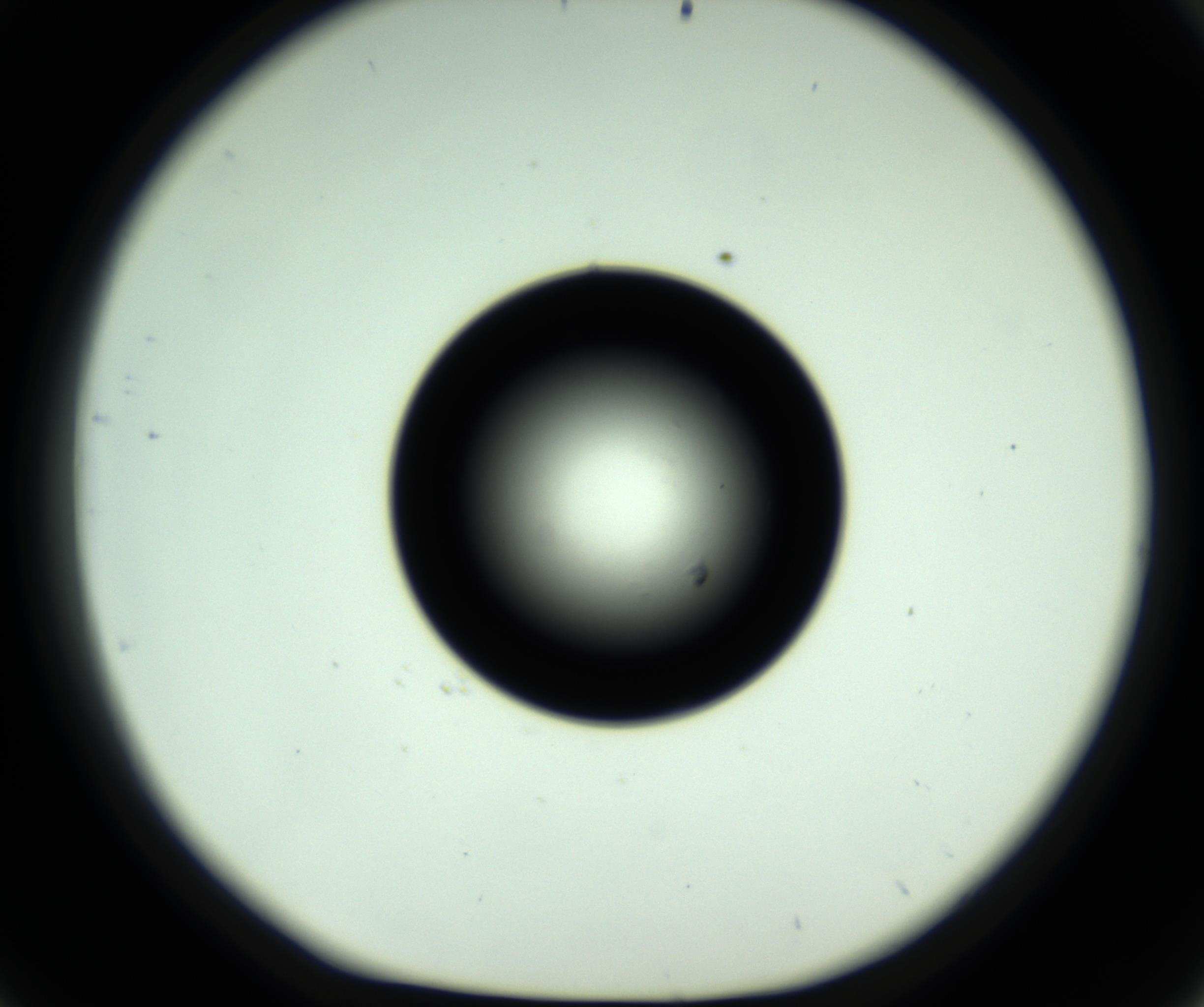 RI01_03_000_0212_Proj1_Clon1_MC_0000MC102809_006_161013_09_04_01_00_98_002_001_RAI.jpg