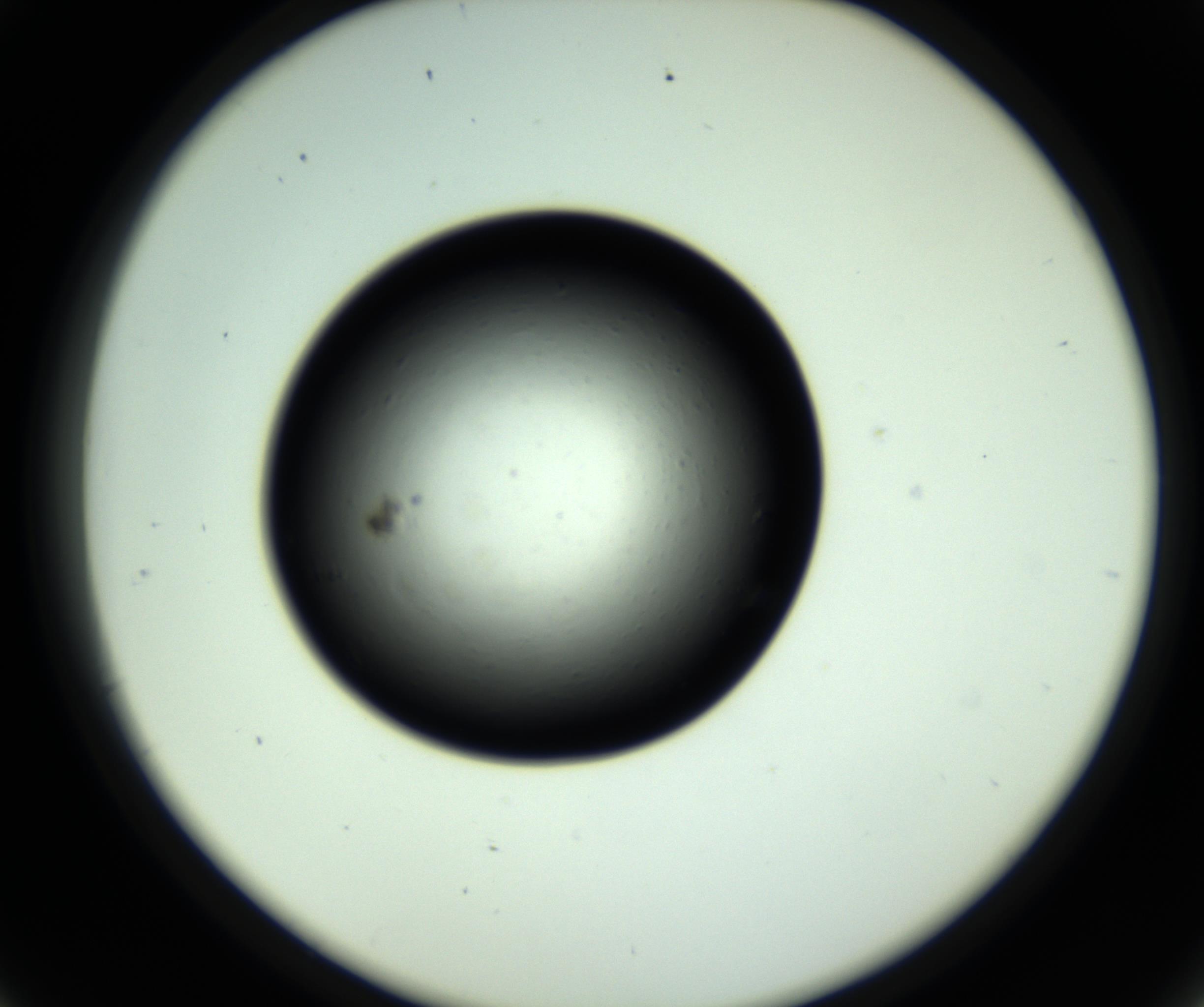 RI01_03_000_0212_Proj1_Clon1_MC_0000MC102809_006_161013_09_04_02_00_98_002_001_RAI.jpg