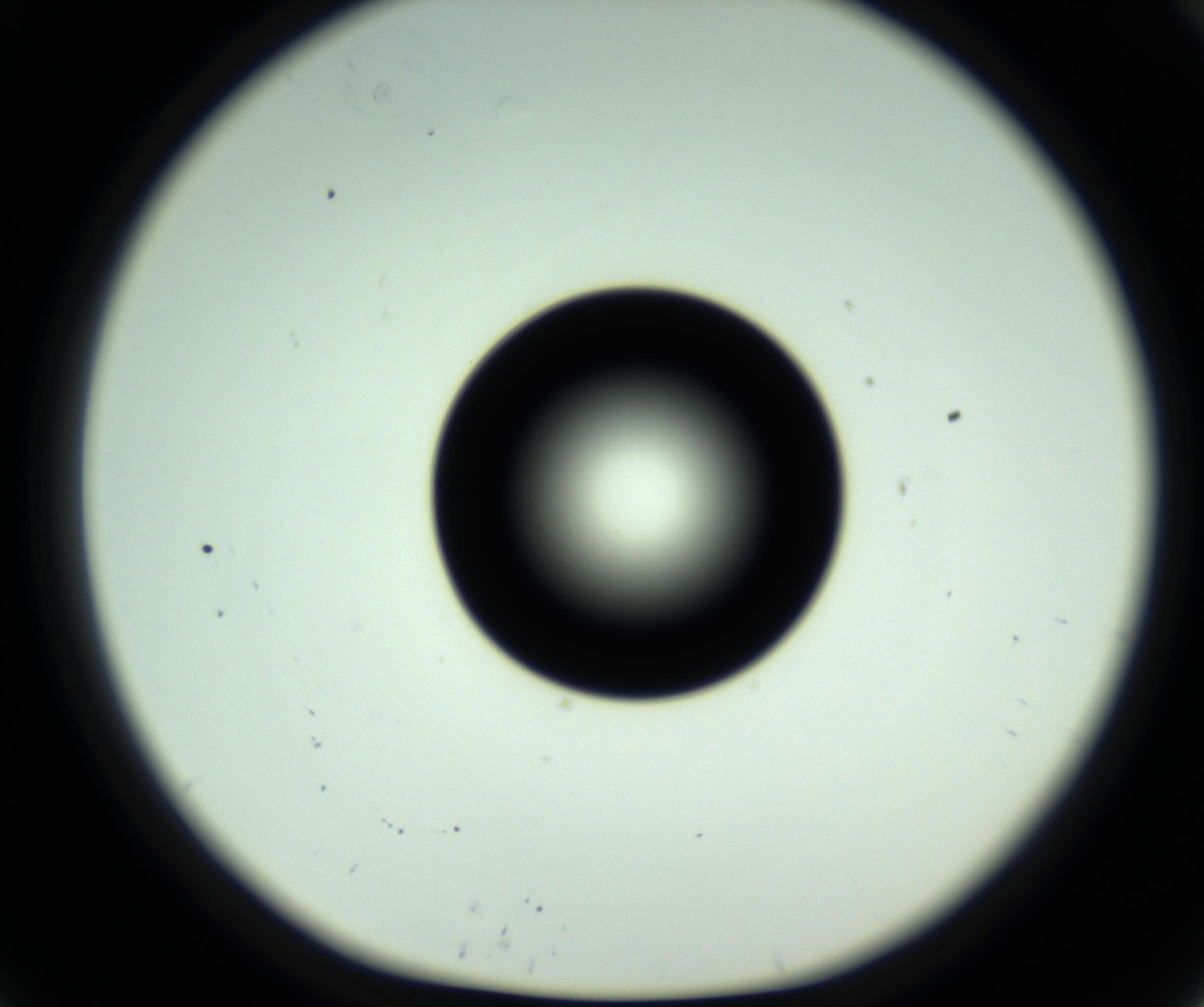 RI01_03_000_0212_Proj1_Clon1_MC_0000MC102809_006_161013_09_05_01_00_98_002_001_RAI.jpg