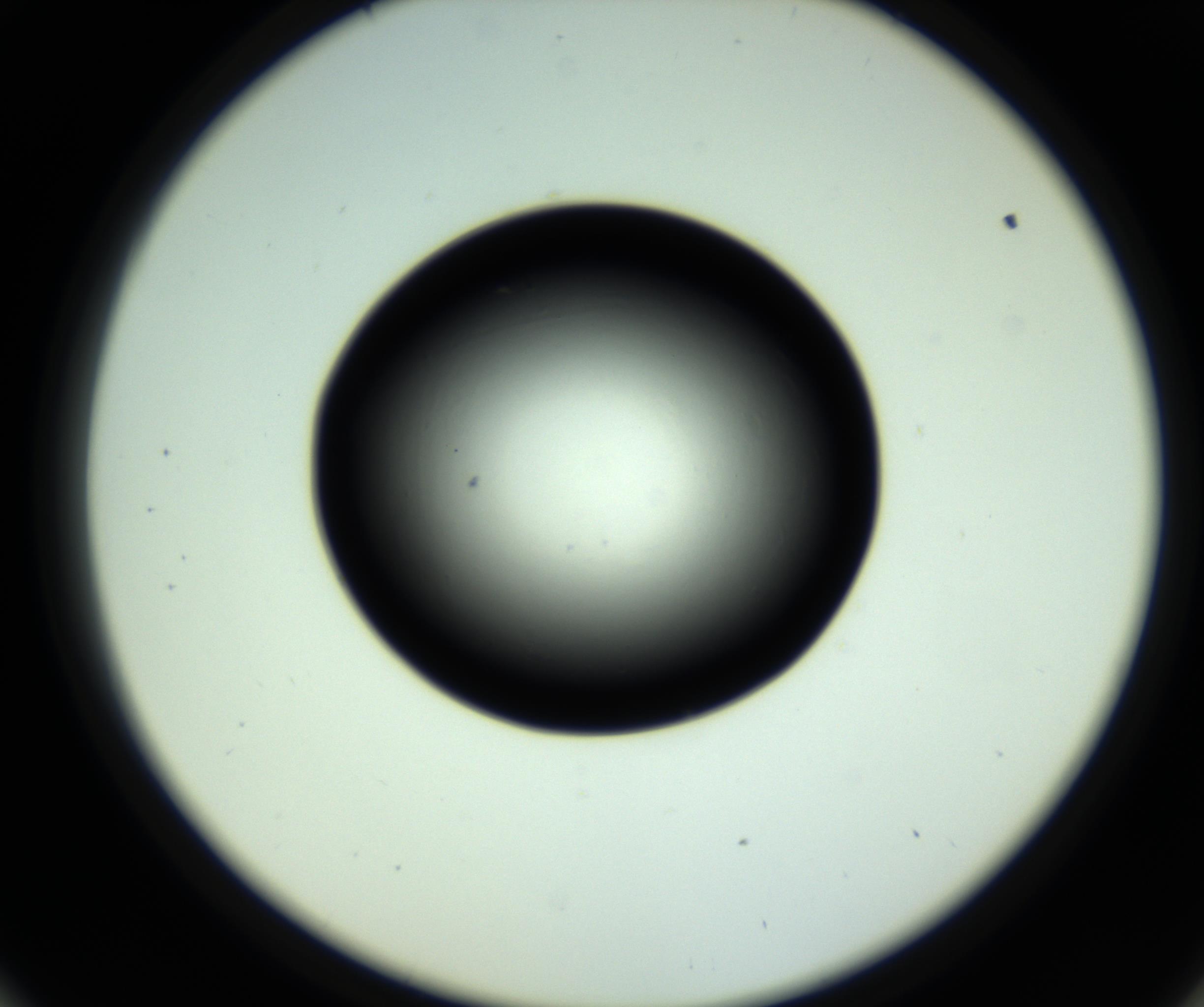 RI01_03_000_0212_Proj1_Clon1_MC_0000MC102809_006_161013_09_05_02_00_98_002_001_RAI.jpg