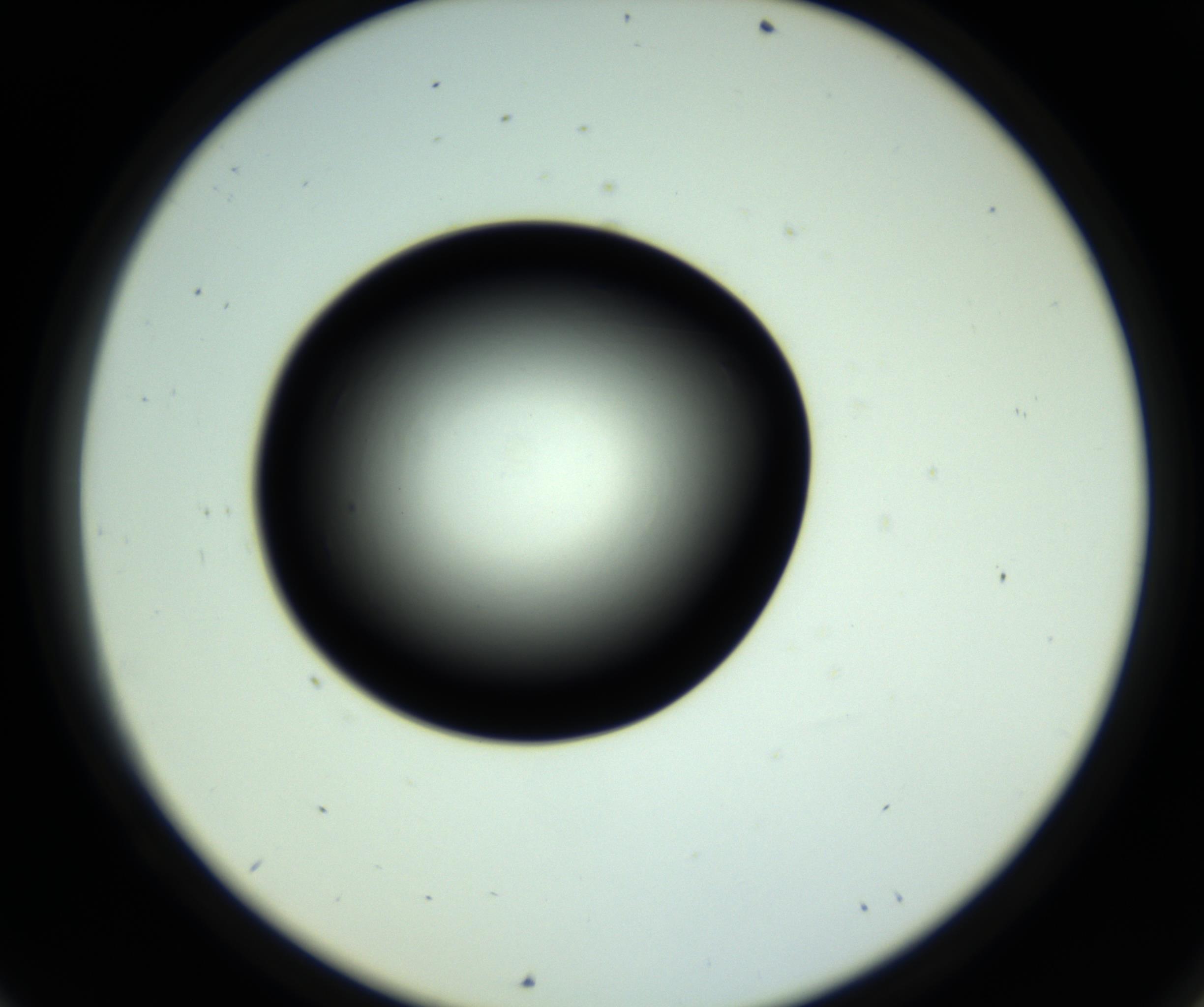 RI01_03_000_0212_Proj1_Clon1_MC_0000MC102809_006_161013_09_06_02_00_98_002_001_RAI.jpg