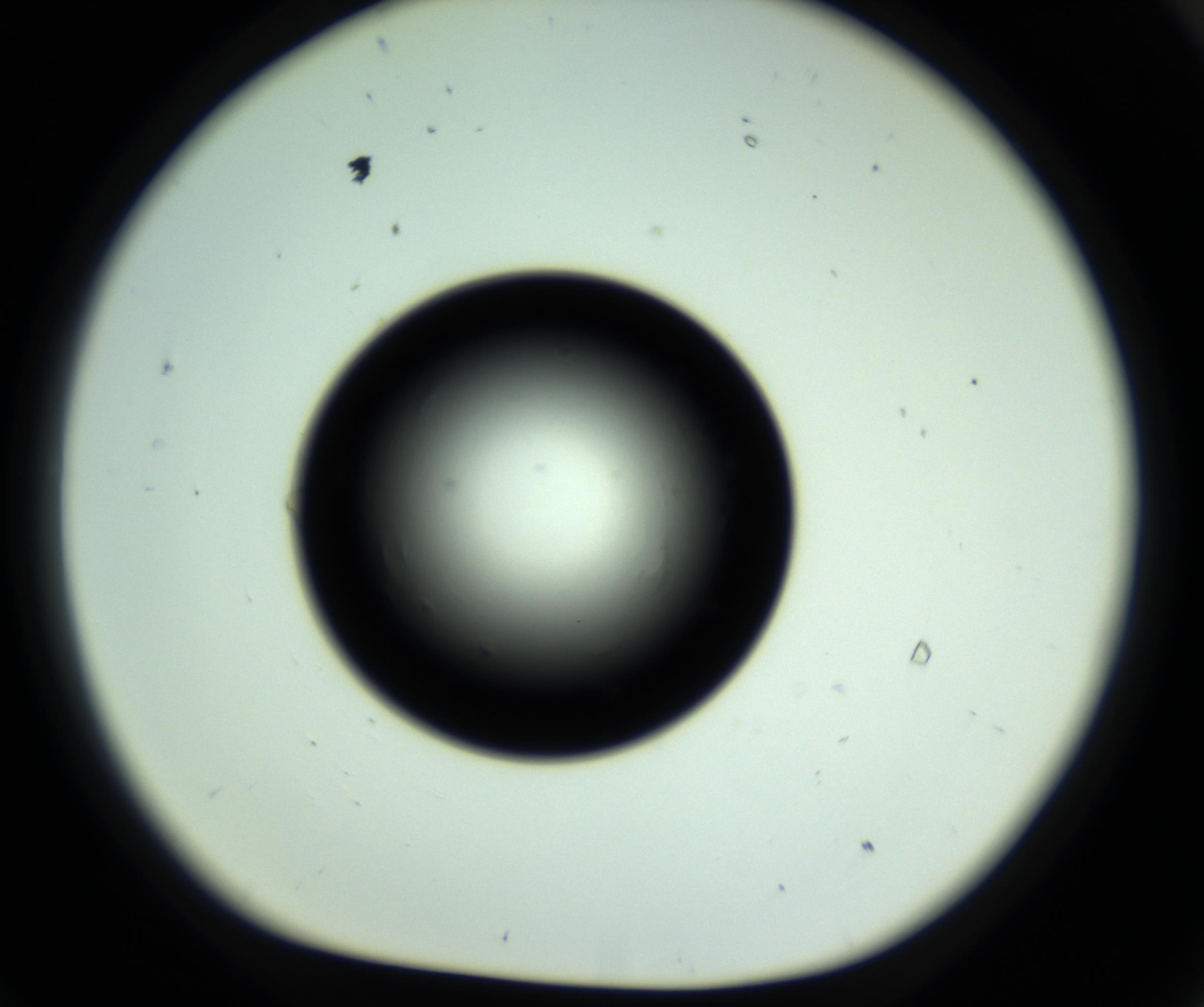 RI01_03_000_0212_Proj1_Clon1_MC_0000MC102809_006_161013_09_07_01_00_98_002_001_RAI.jpg