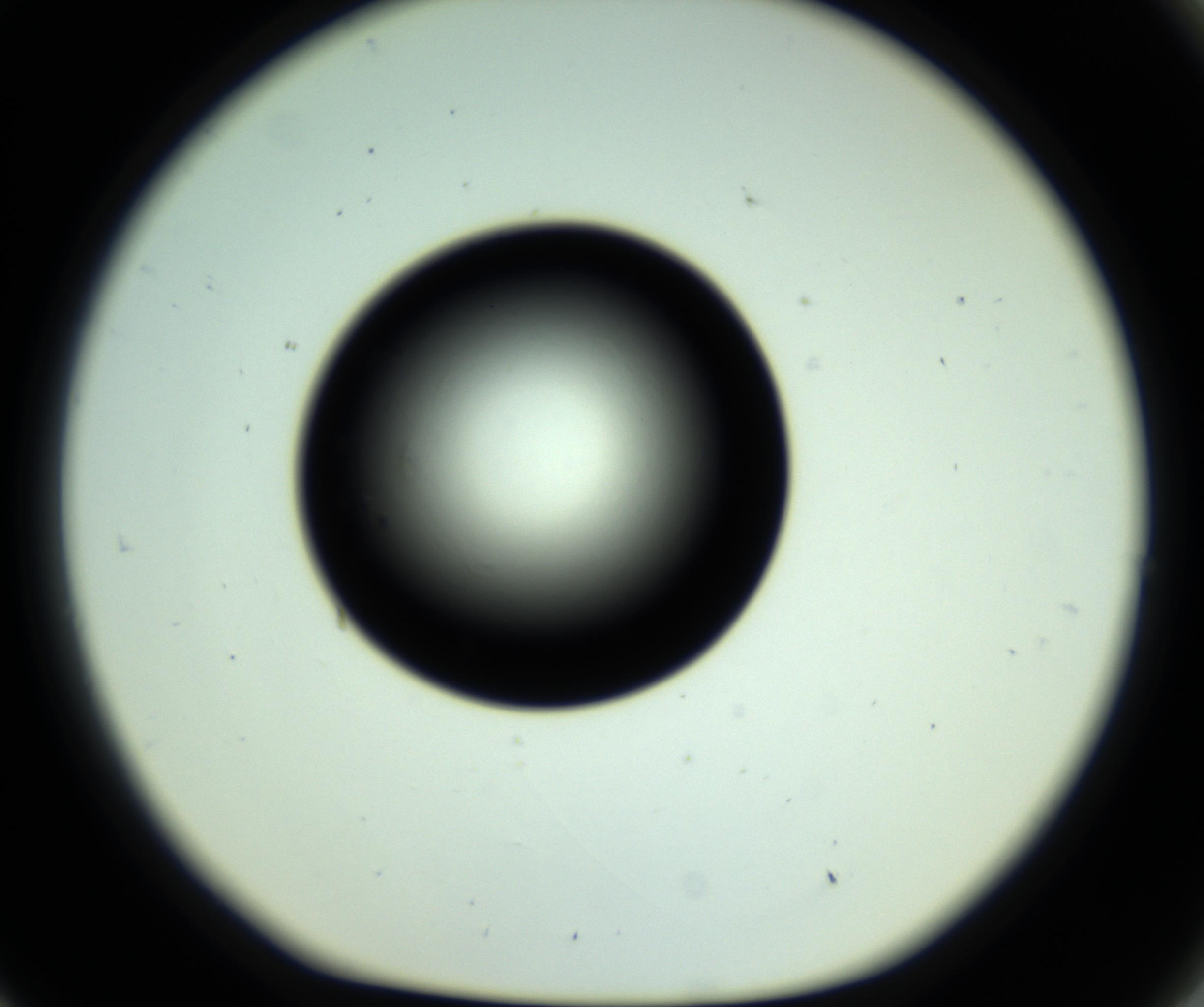 RI01_03_000_0212_Proj1_Clon1_MC_0000MC102809_006_161013_09_08_01_00_98_002_001_RAI.jpg