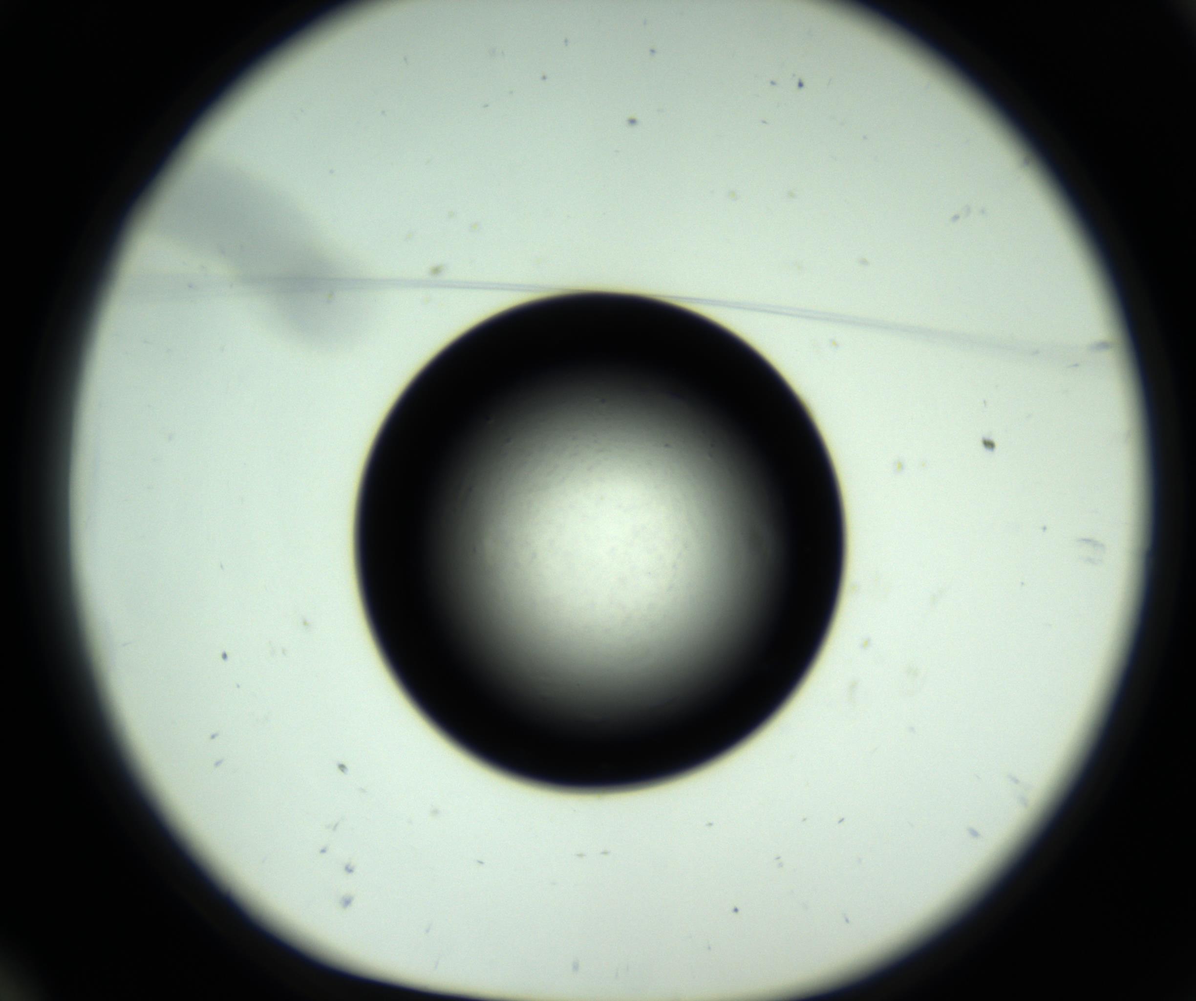 RI01_03_000_0212_Proj1_Clon1_MC_0000MC102809_006_161013_10_01_01_00_98_002_001_RAI.jpg