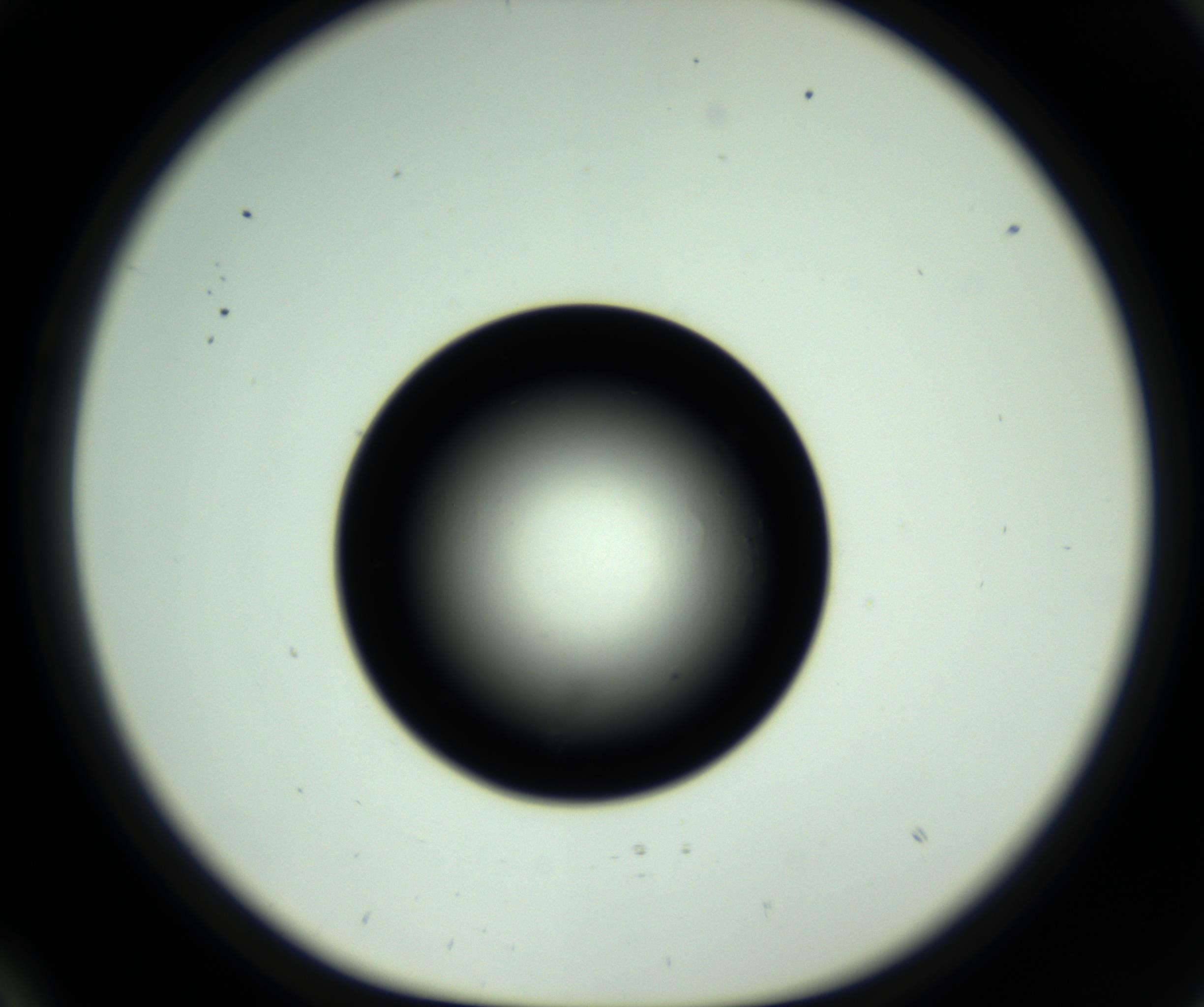RI01_03_000_0212_Proj1_Clon1_MC_0000MC102809_006_161013_10_02_01_00_98_002_001_RAI.jpg