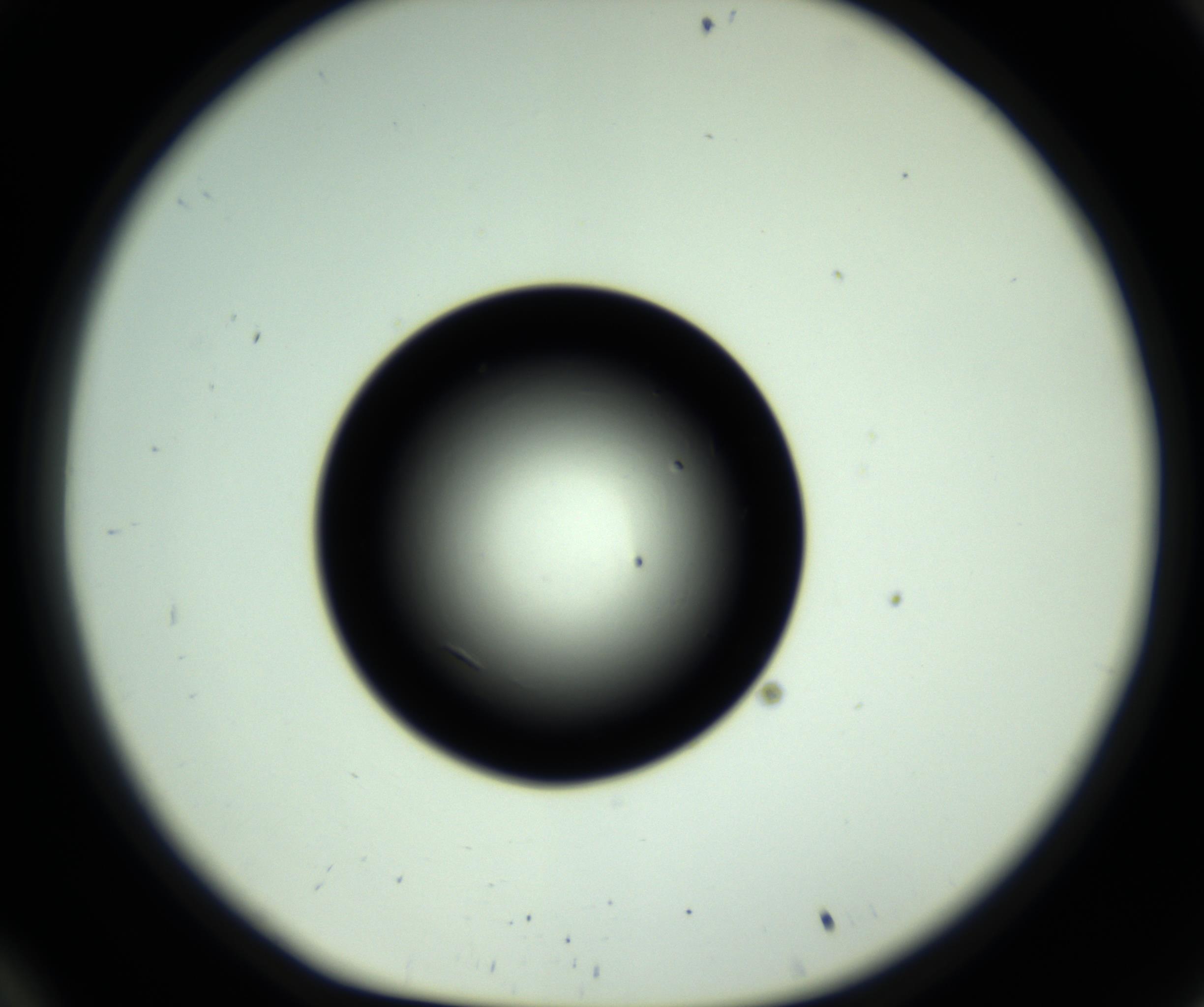 RI01_03_000_0212_Proj1_Clon1_MC_0000MC102809_006_161013_10_03_01_00_98_002_001_RAI.jpg