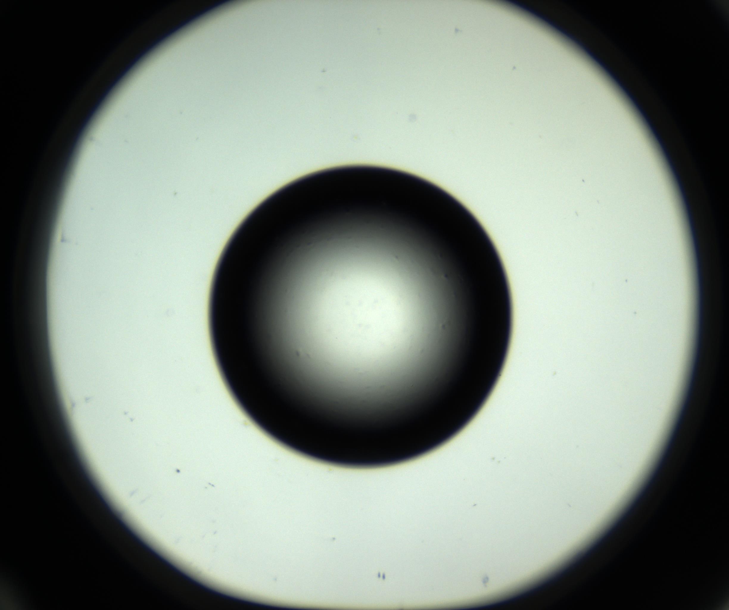 RI01_03_000_0212_Proj1_Clon1_MC_0000MC102809_006_161013_10_04_01_00_98_002_001_RAI.jpg