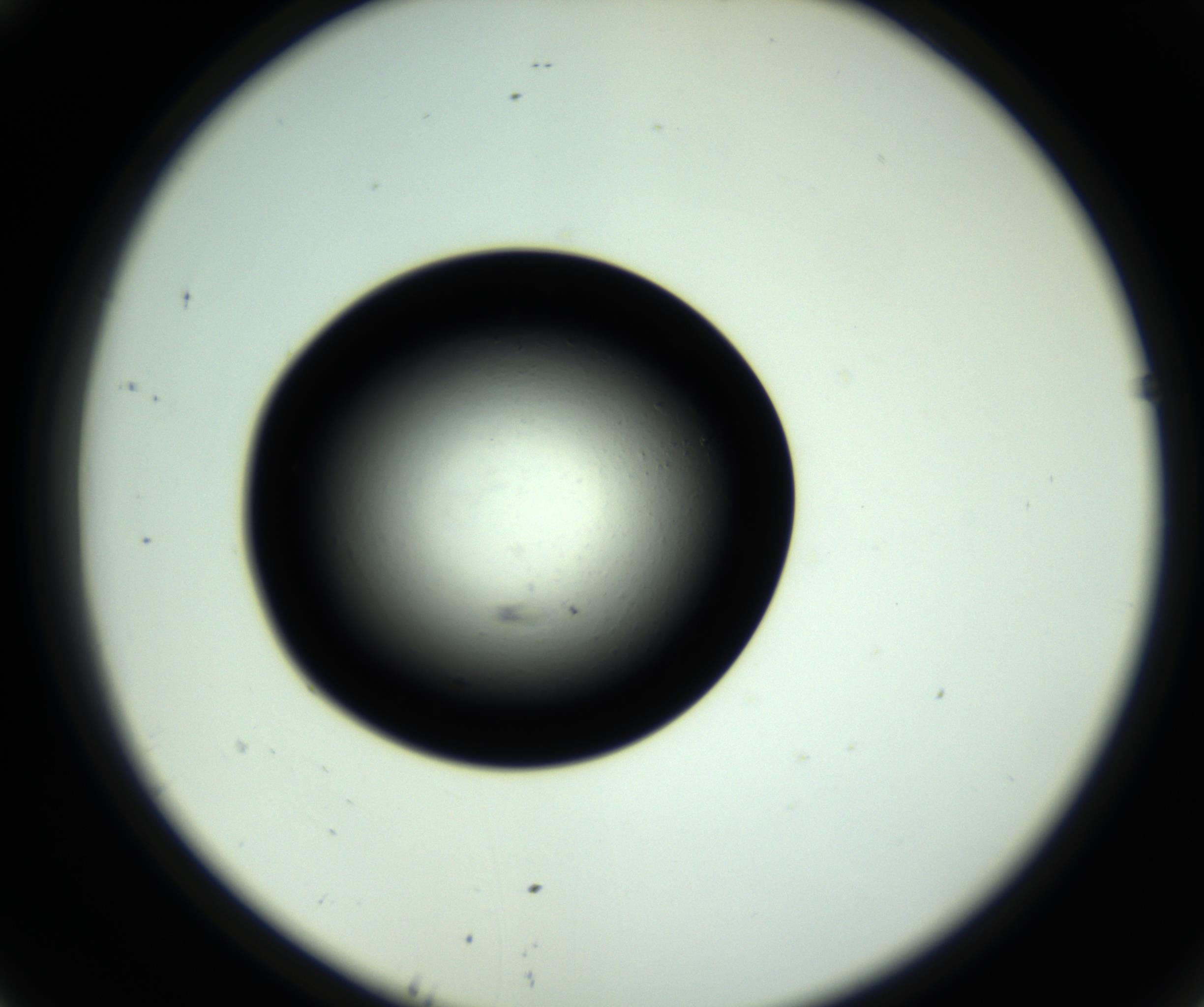 RI01_03_000_0212_Proj1_Clon1_MC_0000MC102809_006_161013_10_04_02_00_98_002_001_RAI.jpg