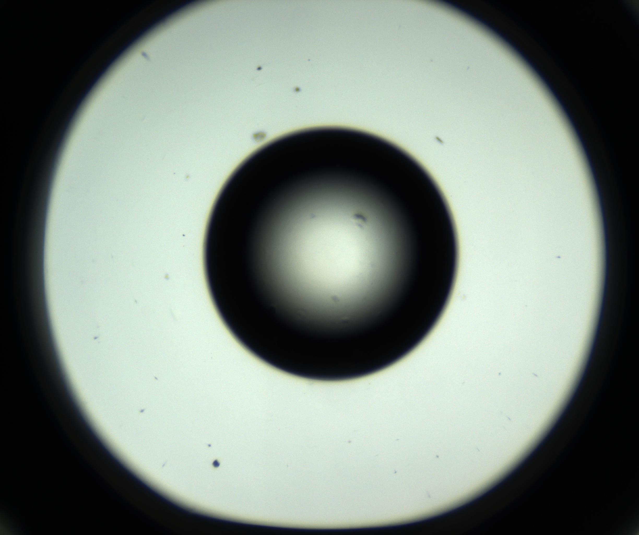 RI01_03_000_0212_Proj1_Clon1_MC_0000MC102809_006_161013_10_05_01_00_98_002_001_RAI.jpg