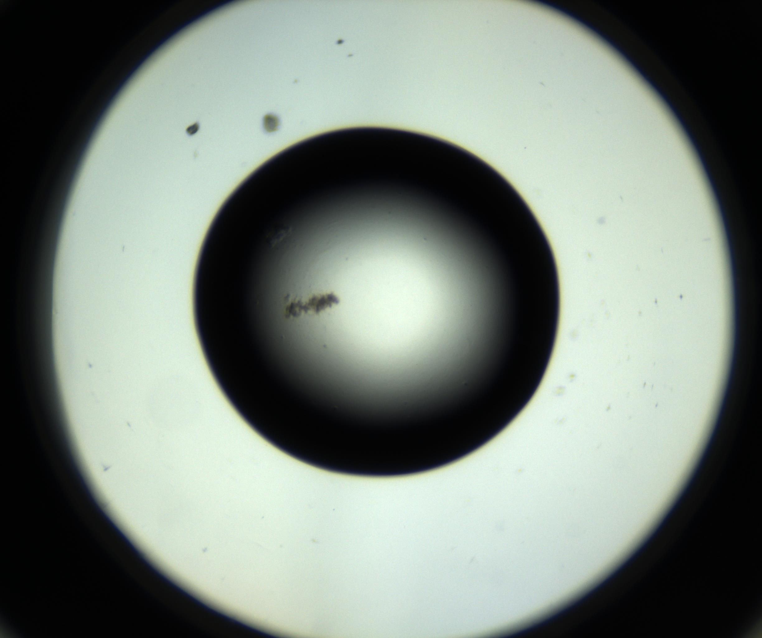 RI01_03_000_0212_Proj1_Clon1_MC_0000MC102809_006_161013_10_05_02_00_98_002_001_RAI.jpg