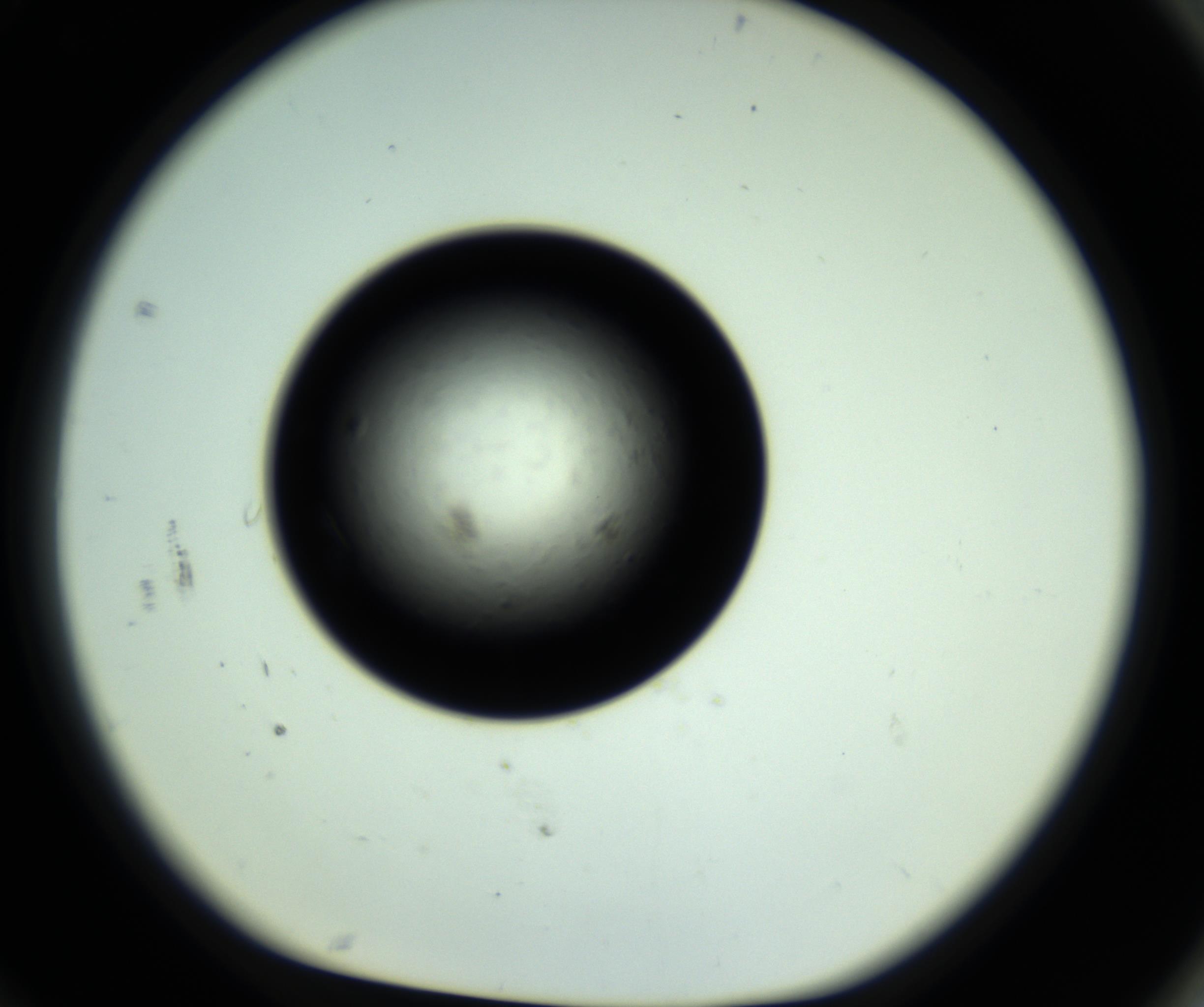 RI01_03_000_0212_Proj1_Clon1_MC_0000MC102809_006_161013_10_08_01_00_98_002_001_RAI.jpg