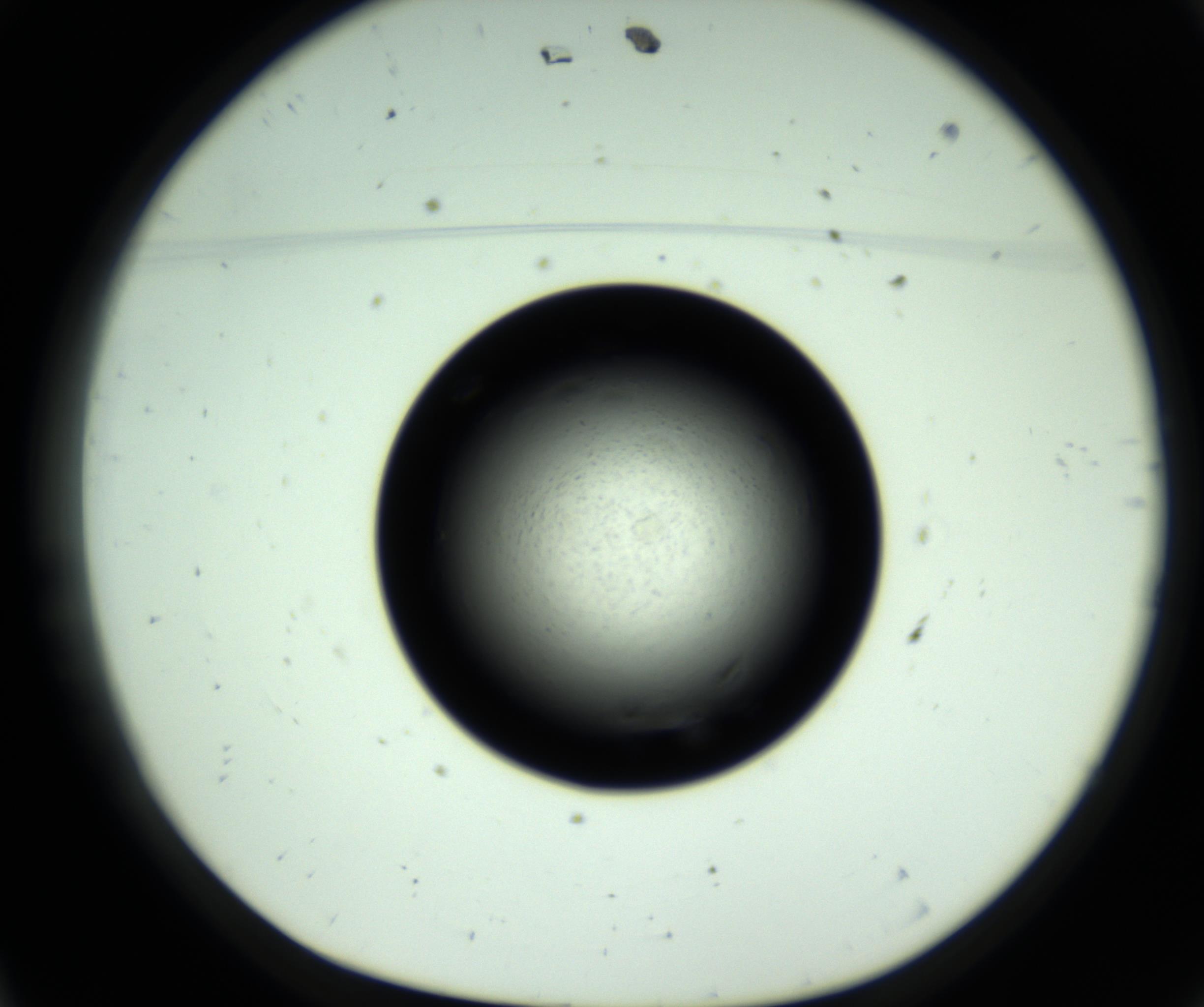 RI01_03_000_0212_Proj1_Clon1_MC_0000MC102809_006_161013_11_01_01_00_98_002_001_RAI.jpg