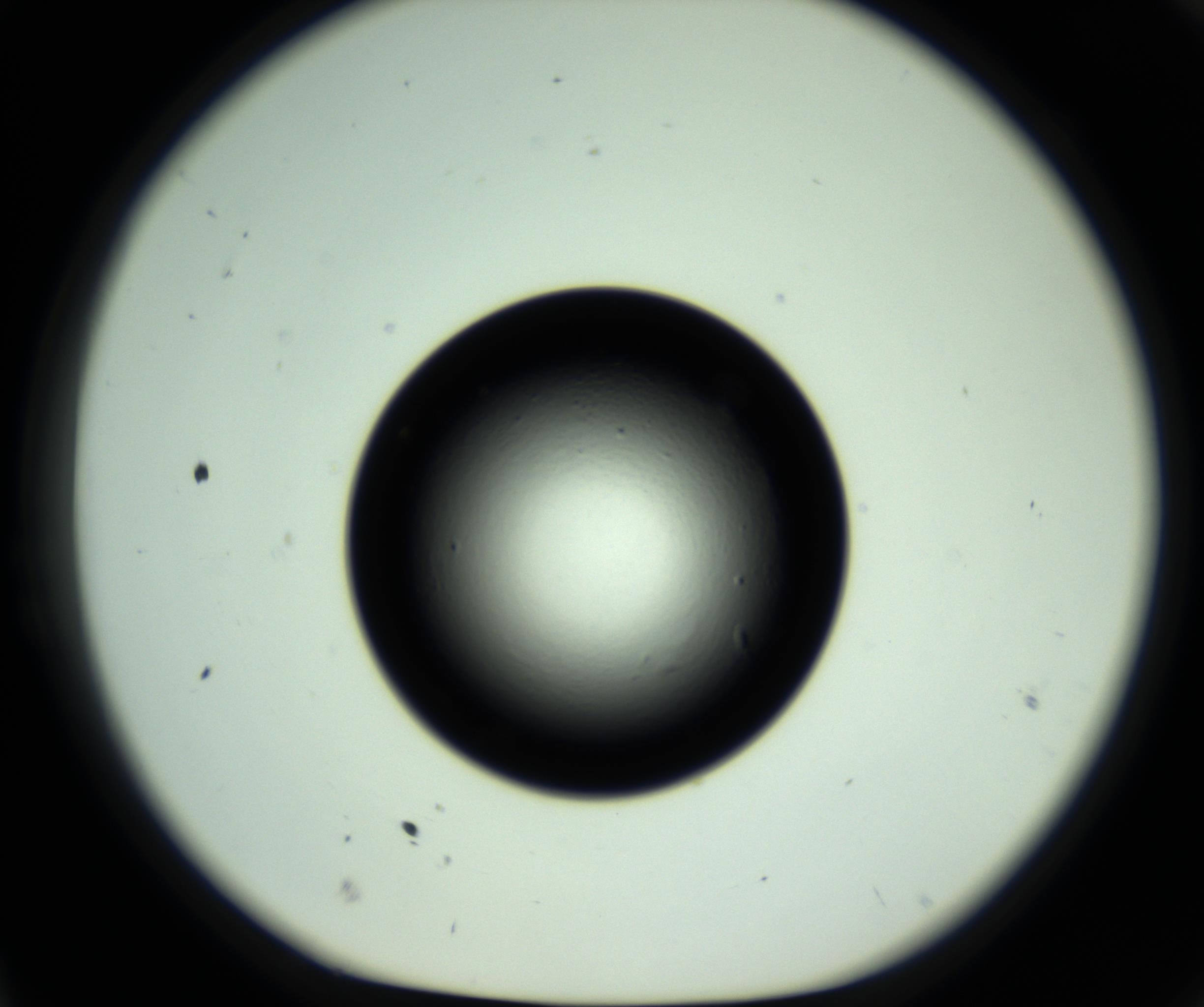 RI01_03_000_0212_Proj1_Clon1_MC_0000MC102809_006_161013_11_02_01_00_98_002_001_RAI.jpg
