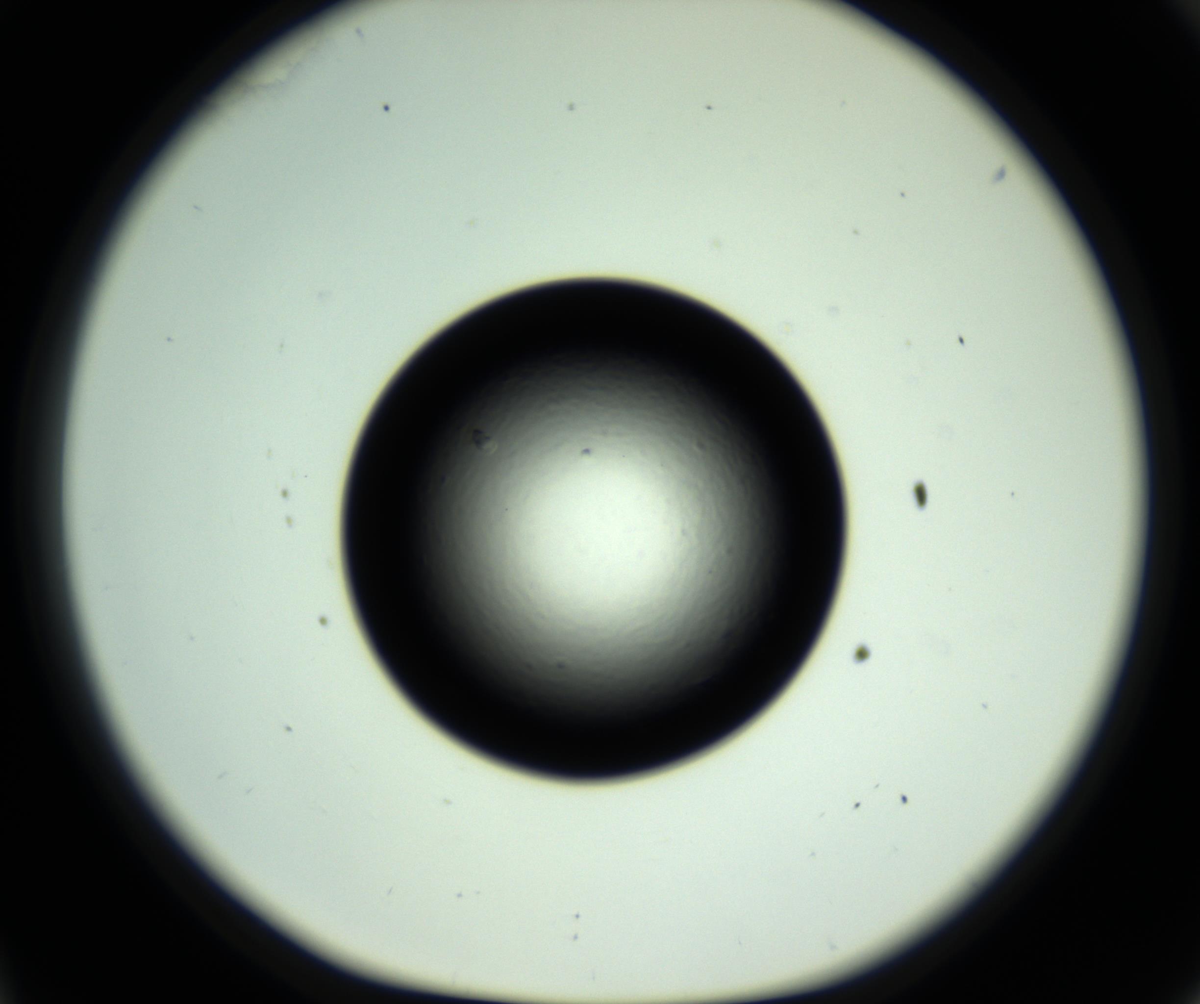 RI01_03_000_0212_Proj1_Clon1_MC_0000MC102809_006_161013_11_03_01_00_98_002_001_RAI.jpg