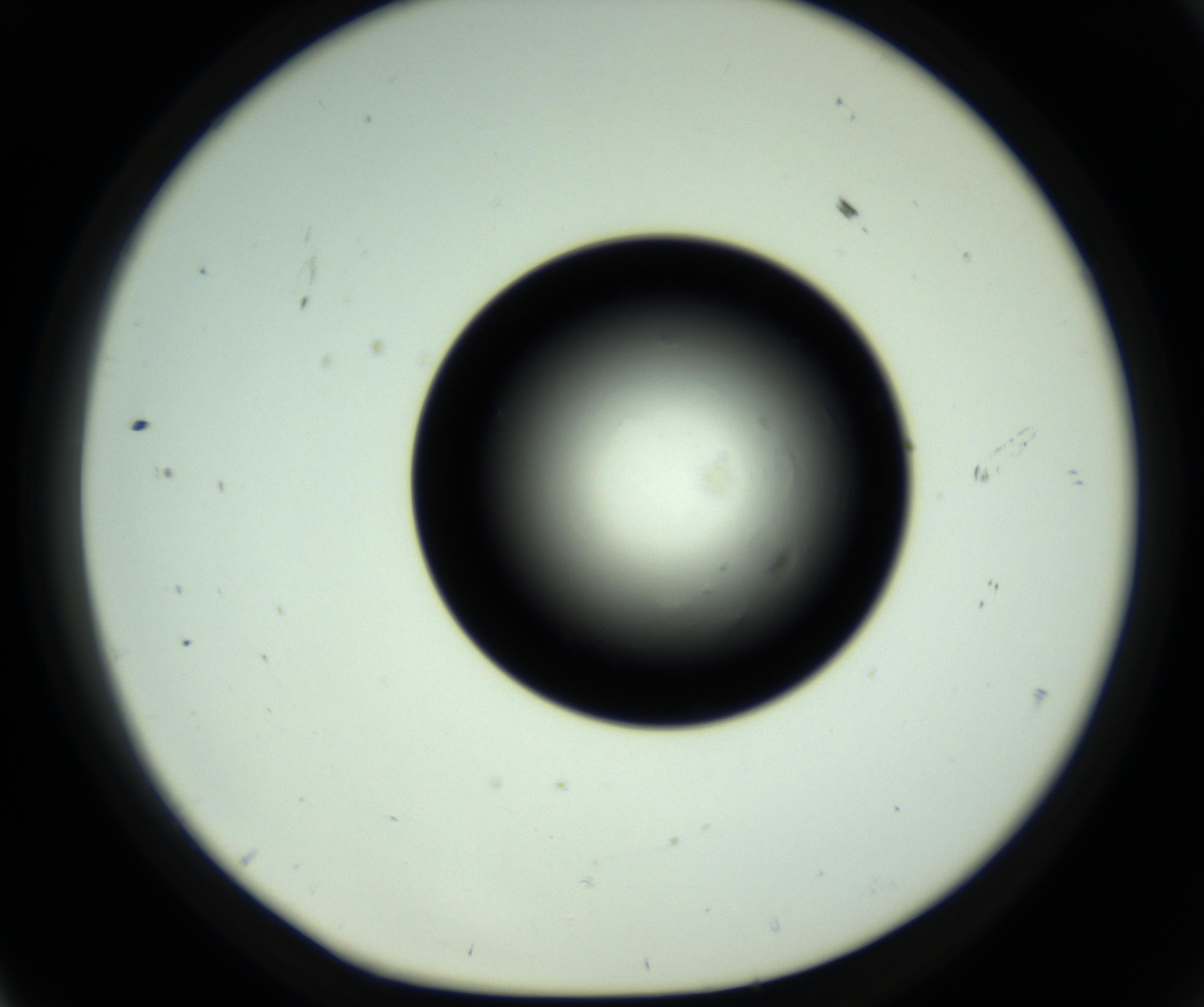 RI01_03_000_0212_Proj1_Clon1_MC_0000MC102809_006_161013_11_05_01_00_98_002_001_RAI.jpg