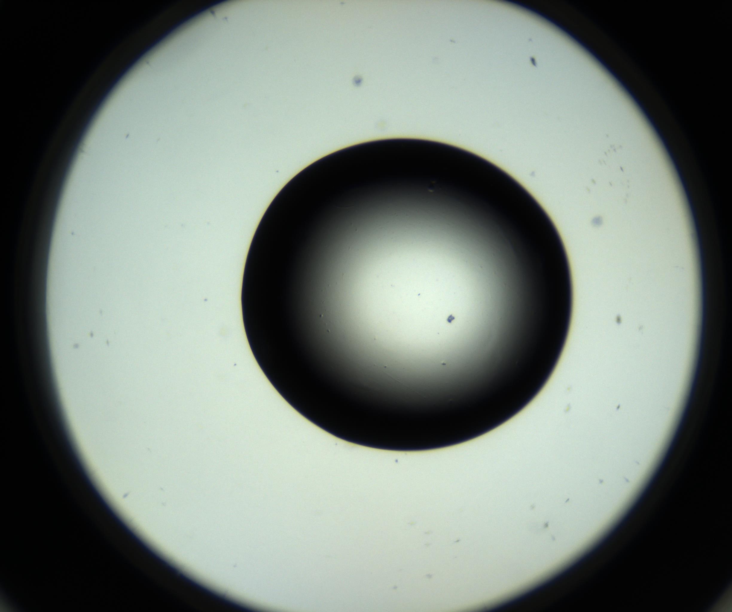 RI01_03_000_0212_Proj1_Clon1_MC_0000MC102809_006_161013_11_05_02_00_98_002_001_RAI.jpg