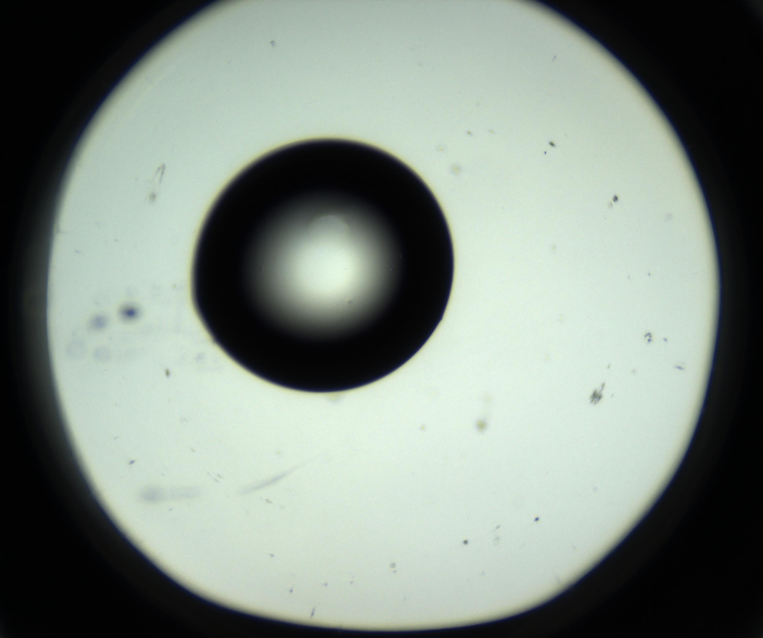RI01_03_000_0212_Proj1_Clon1_MC_0000MC102809_006_161013_11_06_01_00_98_002_001_RAI.jpg