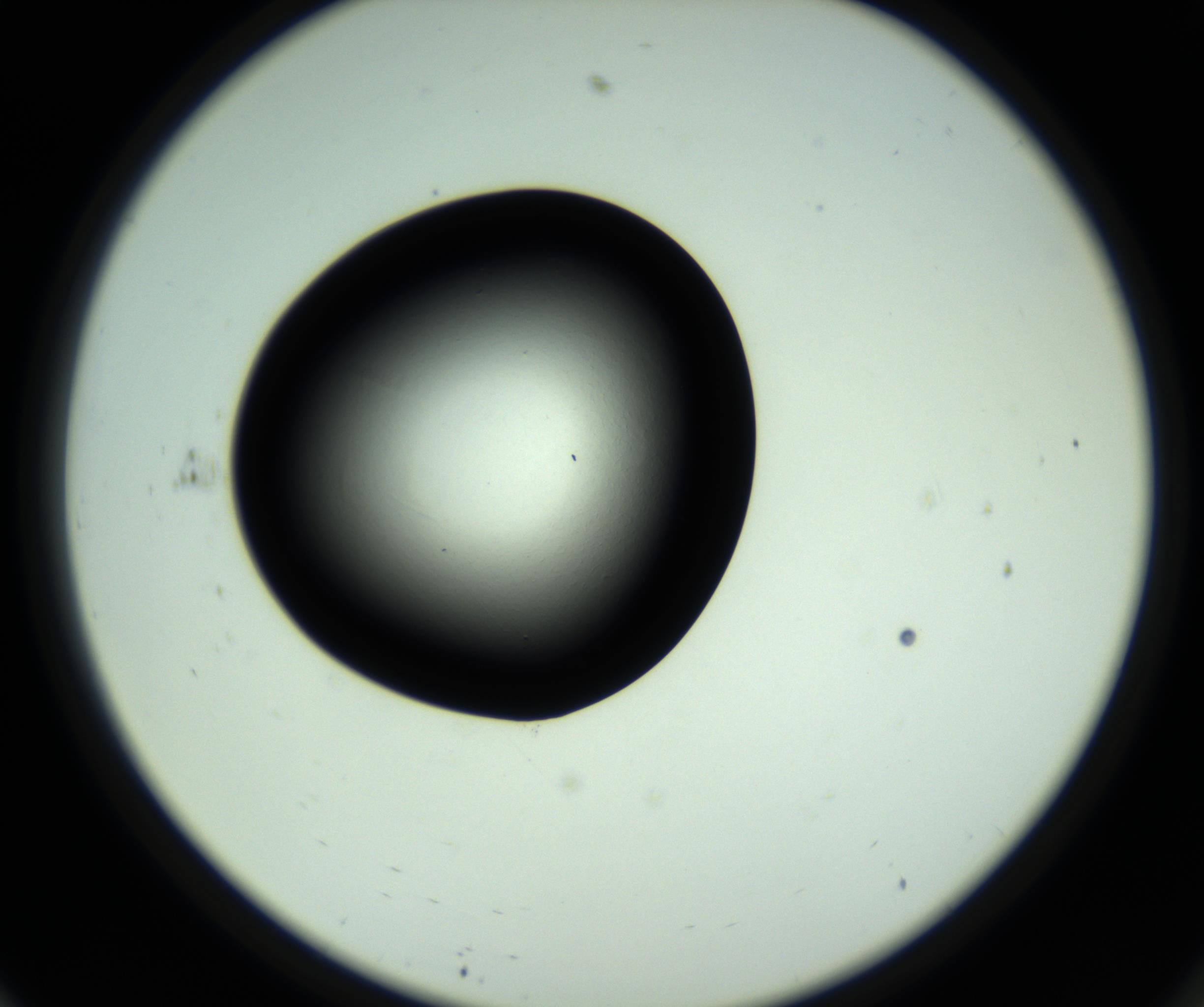 RI01_03_000_0212_Proj1_Clon1_MC_0000MC102809_006_161013_11_06_02_00_98_002_001_RAI.jpg