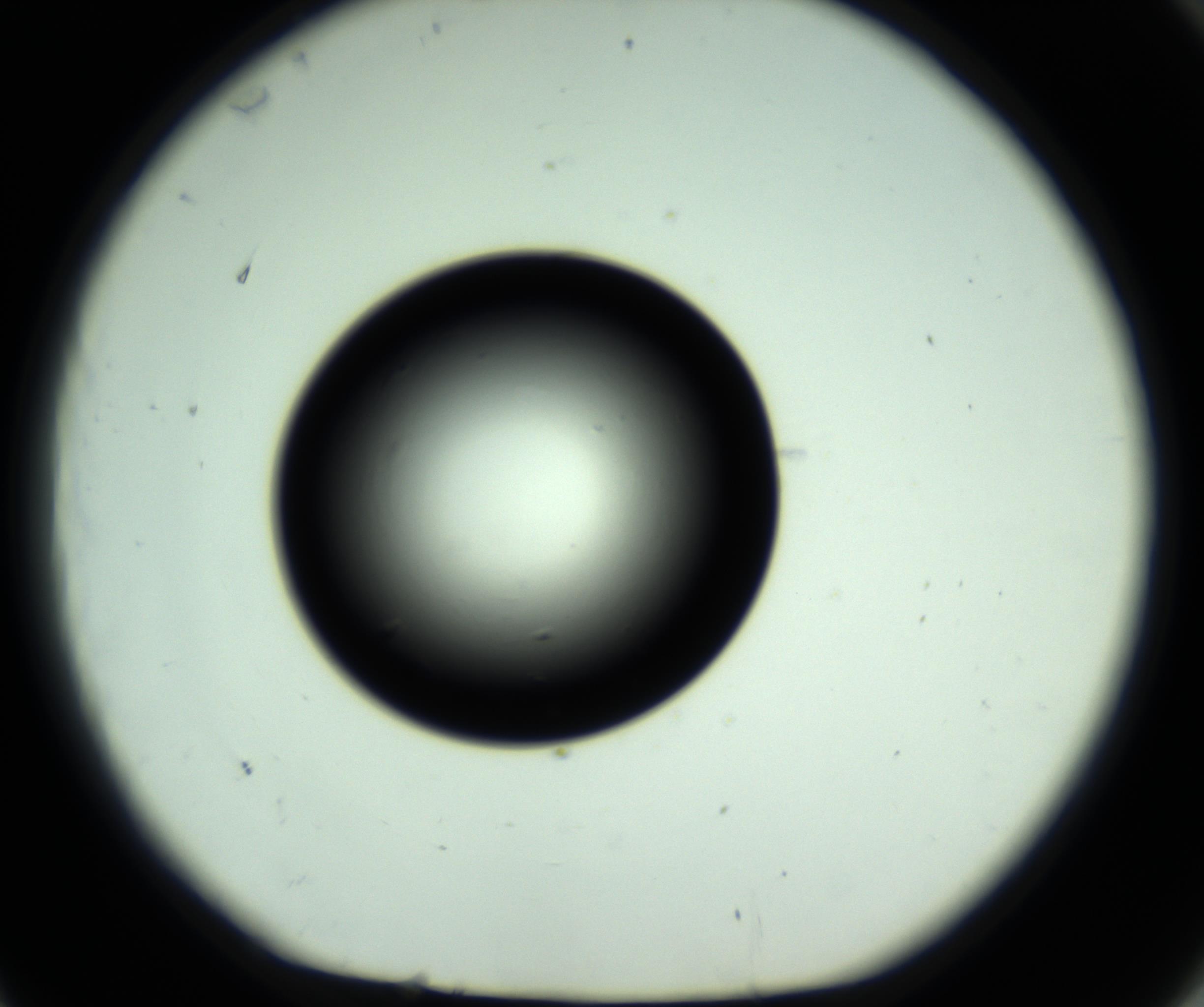 RI01_03_000_0212_Proj1_Clon1_MC_0000MC102809_006_161013_11_07_01_00_98_002_001_RAI.jpg