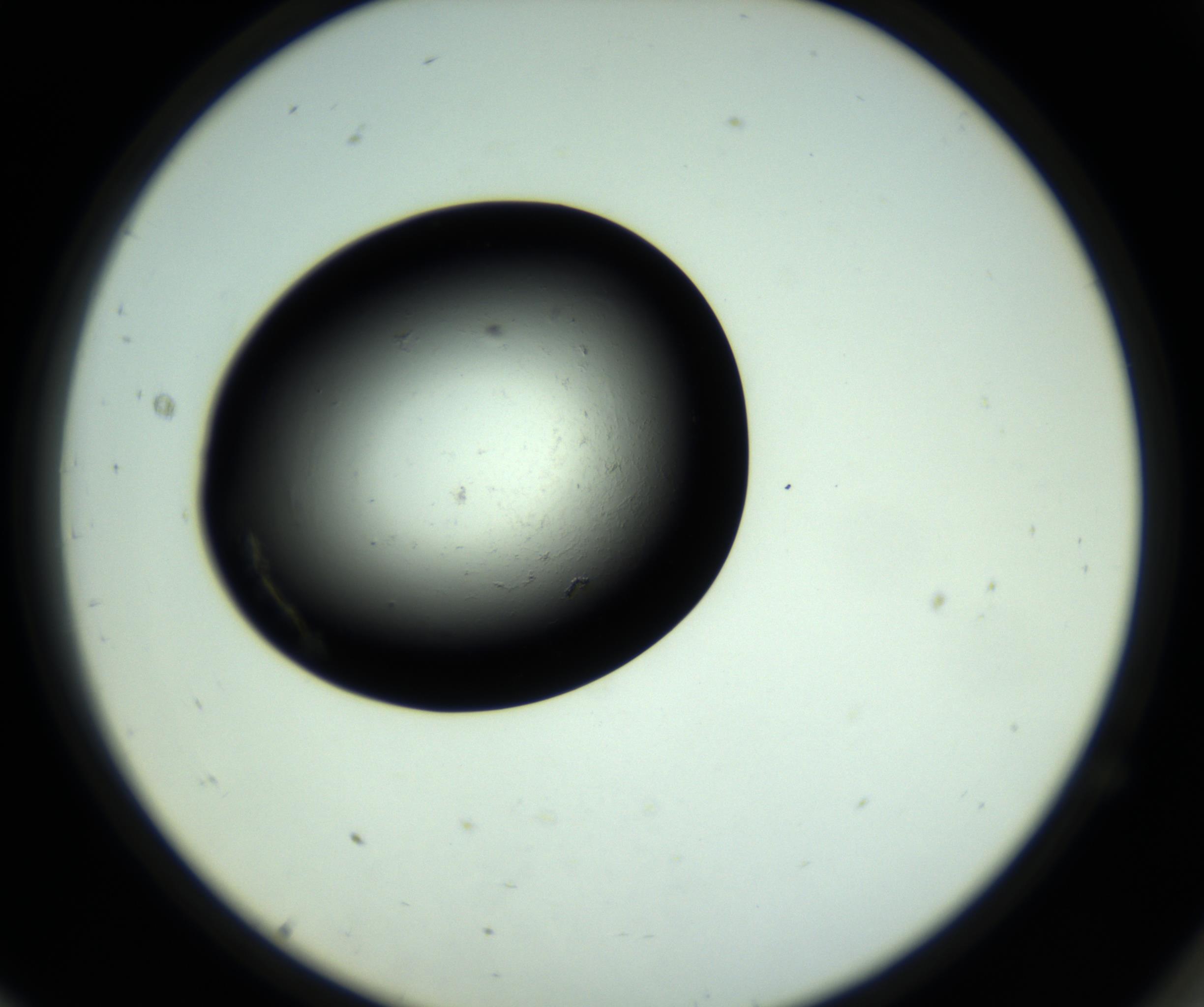 RI01_03_000_0212_Proj1_Clon1_MC_0000MC102809_006_161013_11_07_02_00_98_002_001_RAI.jpg