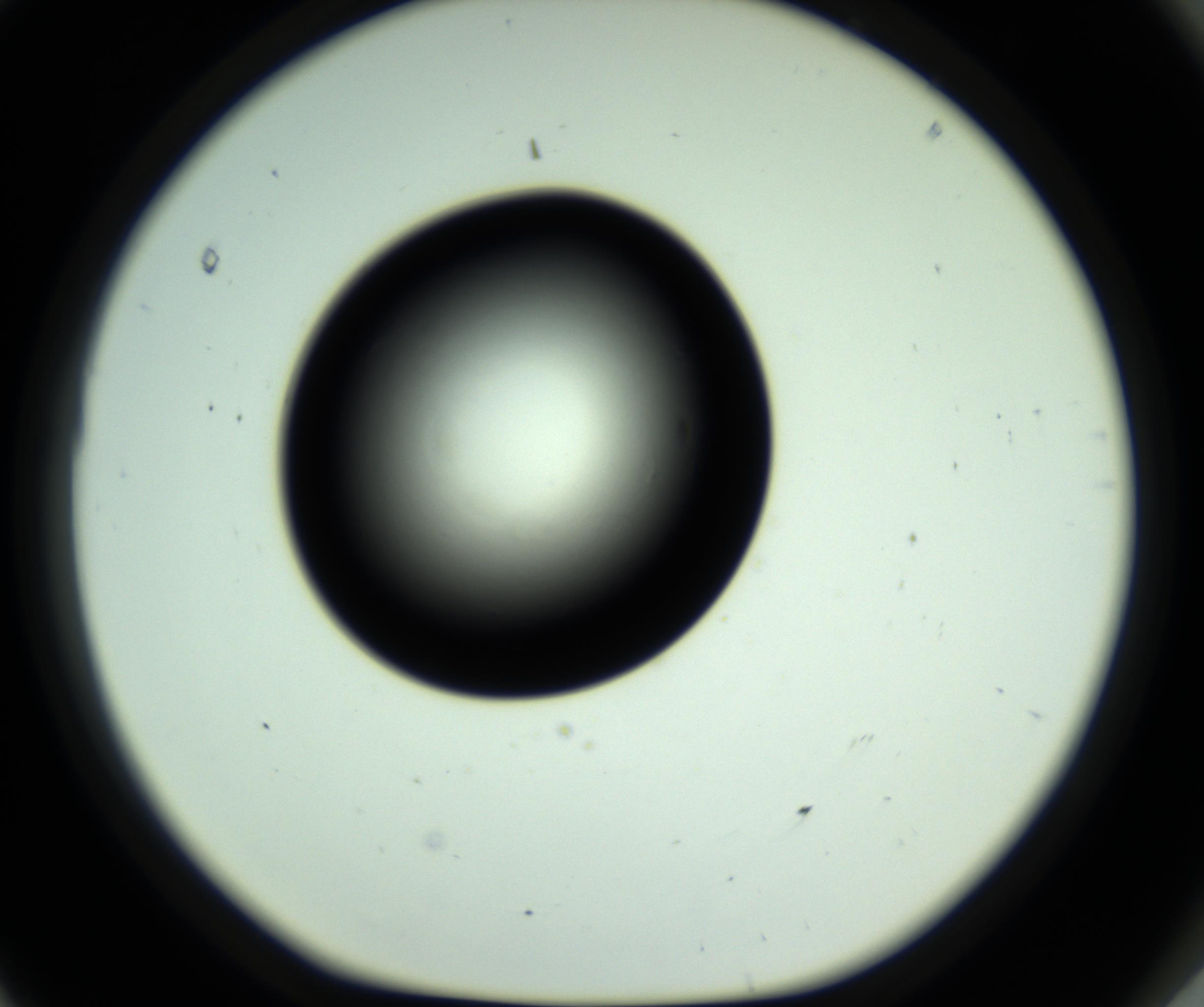 RI01_03_000_0212_Proj1_Clon1_MC_0000MC102809_006_161013_11_08_01_00_98_002_001_RAI.jpg
