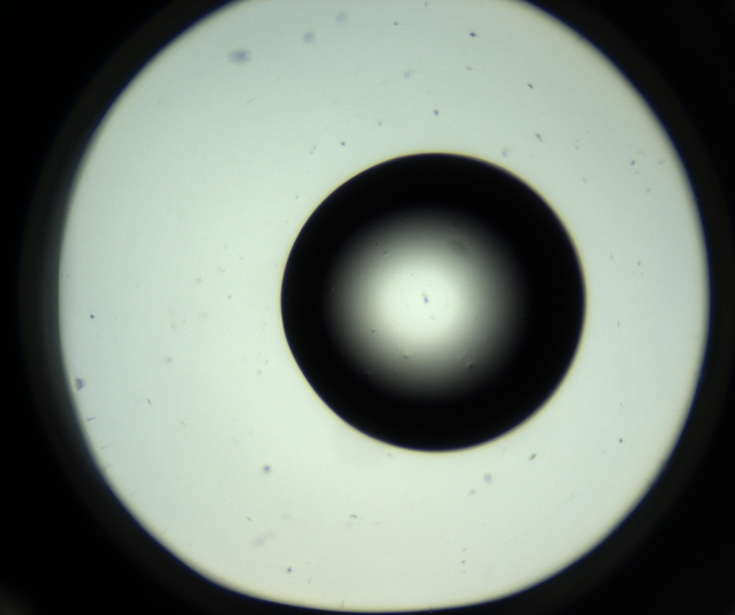 RI01_03_000_0212_Proj1_Clon1_MC_0000MC102809_006_161013_12_05_01_00_98_002_001_RAI.jpg