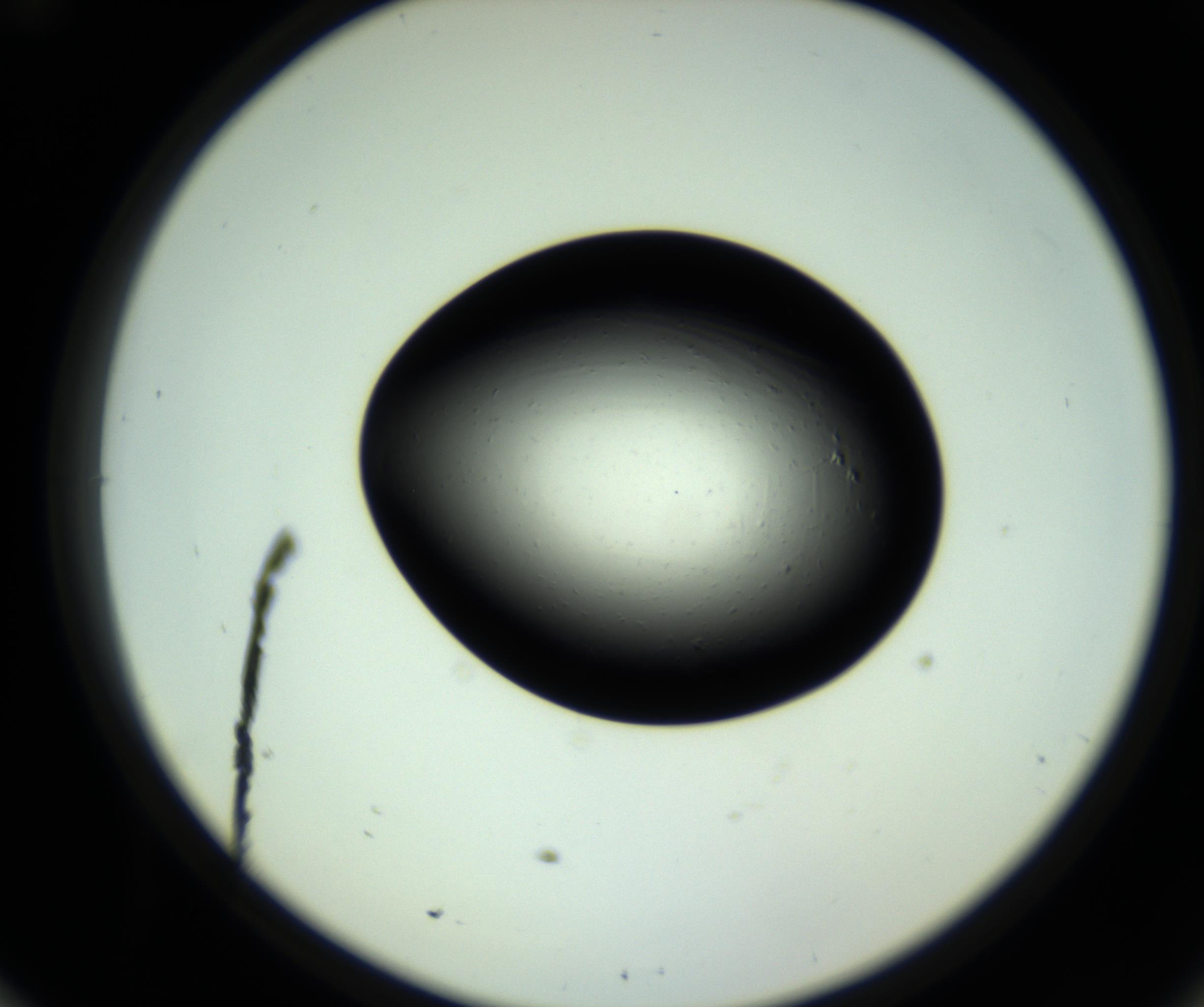 RI01_03_000_0212_Proj1_Clon1_MC_0000MC102809_006_161013_12_05_02_00_98_002_001_RAI.jpg