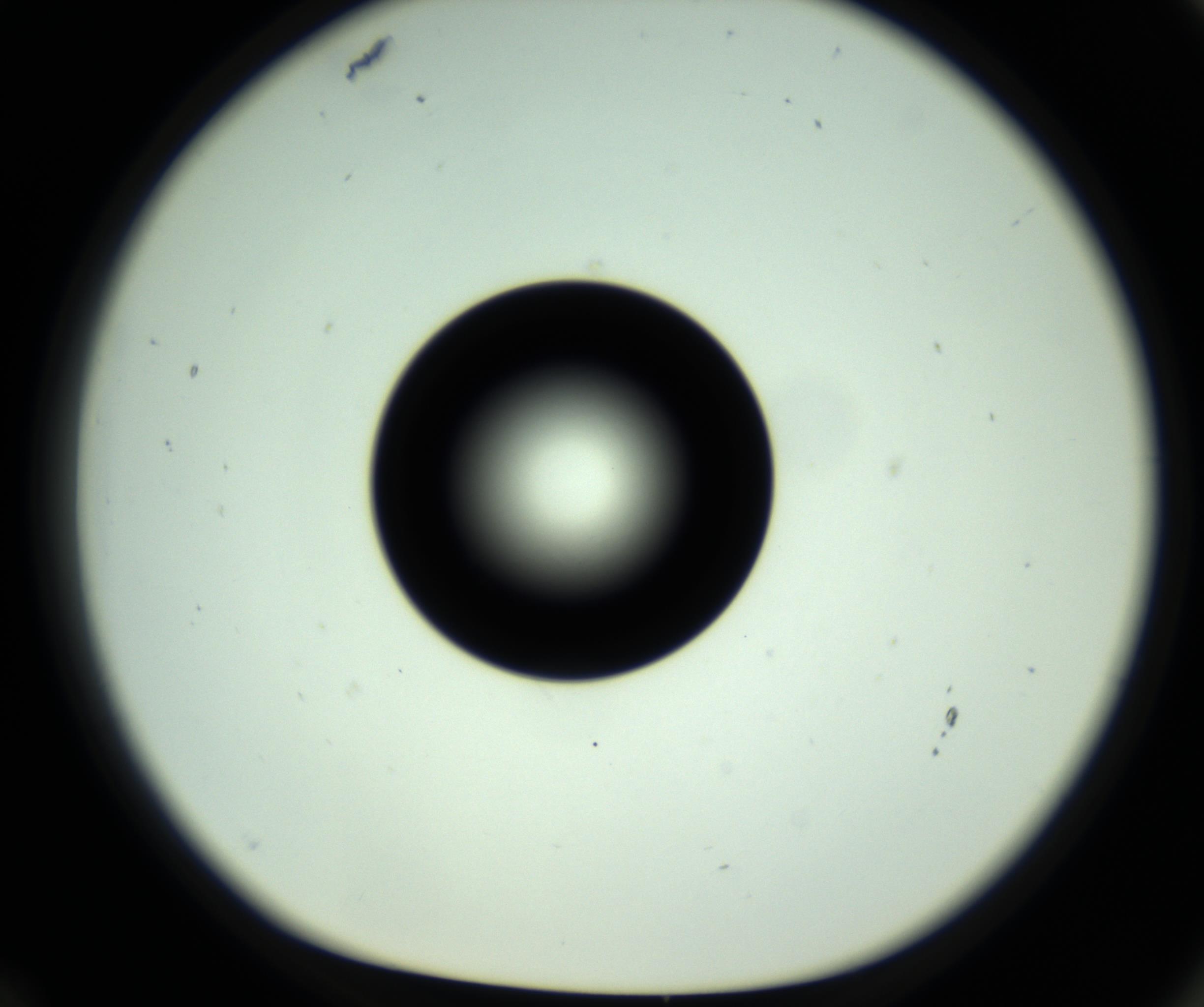 RI01_03_000_0212_Proj1_Clon1_MC_0000MC102809_006_161013_12_06_01_00_98_002_001_RAI.jpg