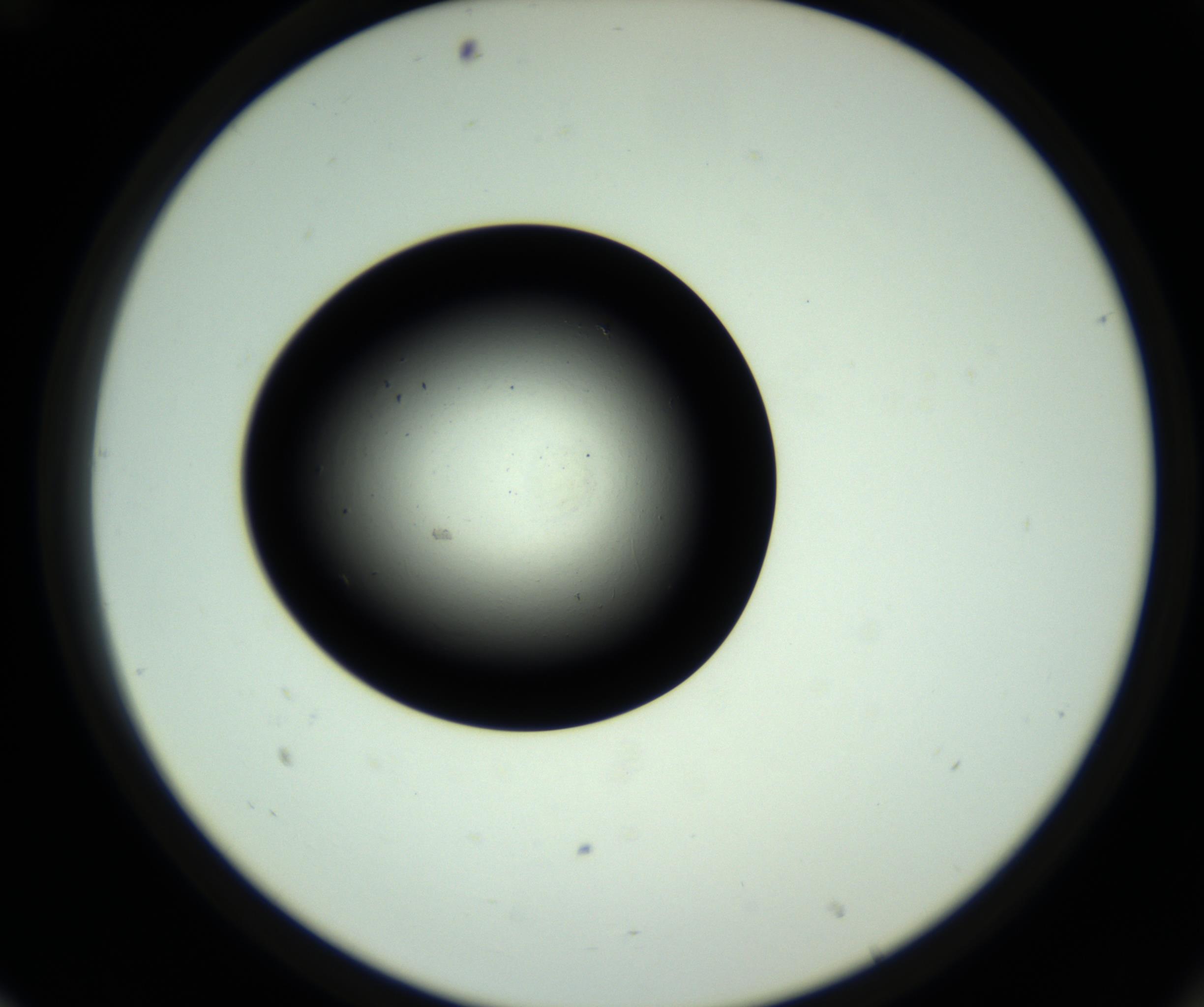 RI01_03_000_0212_Proj1_Clon1_MC_0000MC102809_006_161013_12_06_02_00_98_002_001_RAI.jpg