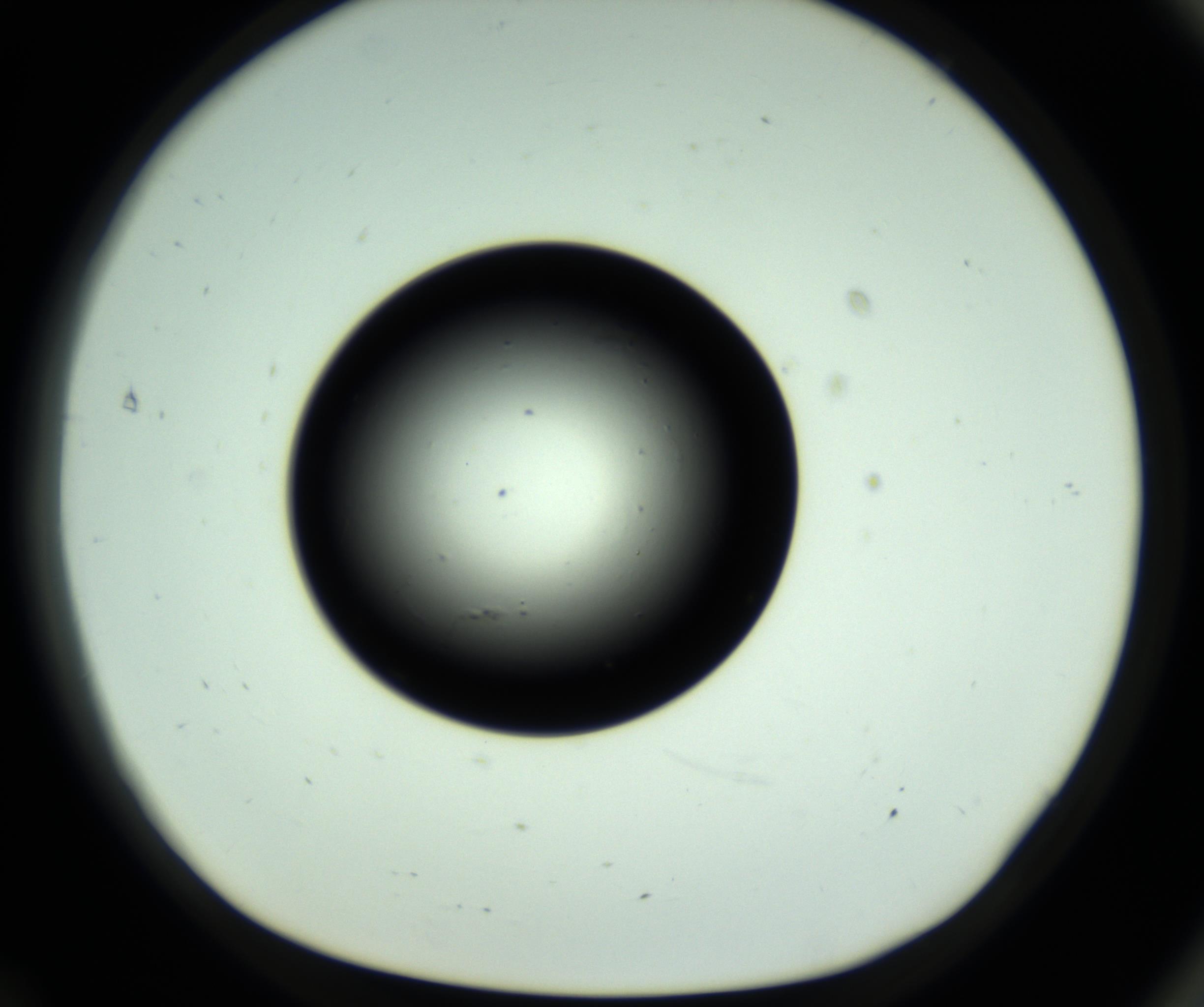 RI01_03_000_0212_Proj1_Clon1_MC_0000MC102809_006_161013_12_07_01_00_98_002_001_RAI.jpg