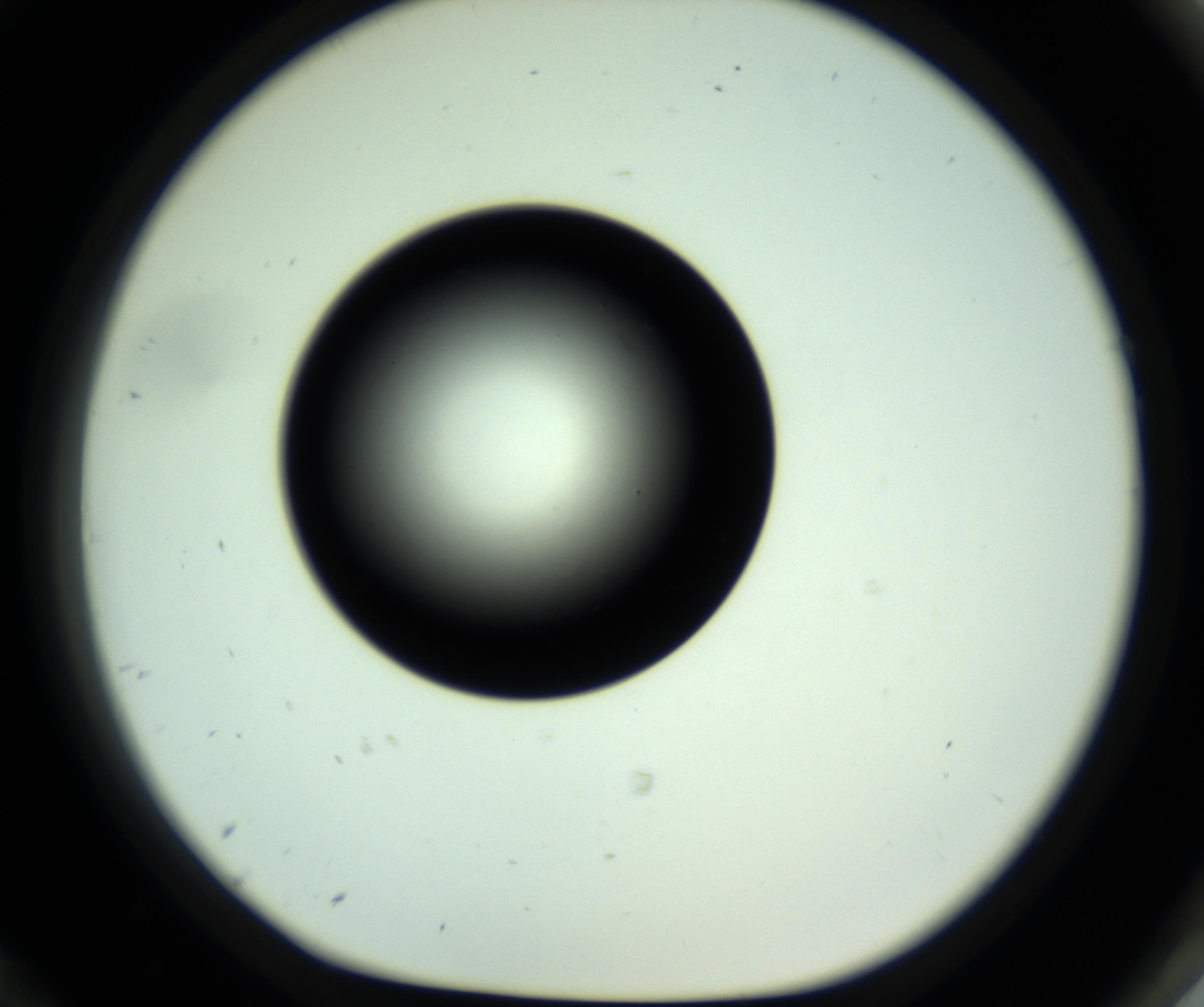 RI01_03_000_0212_Proj1_Clon1_MC_0000MC102809_006_161013_12_08_01_00_98_002_001_RAI.jpg