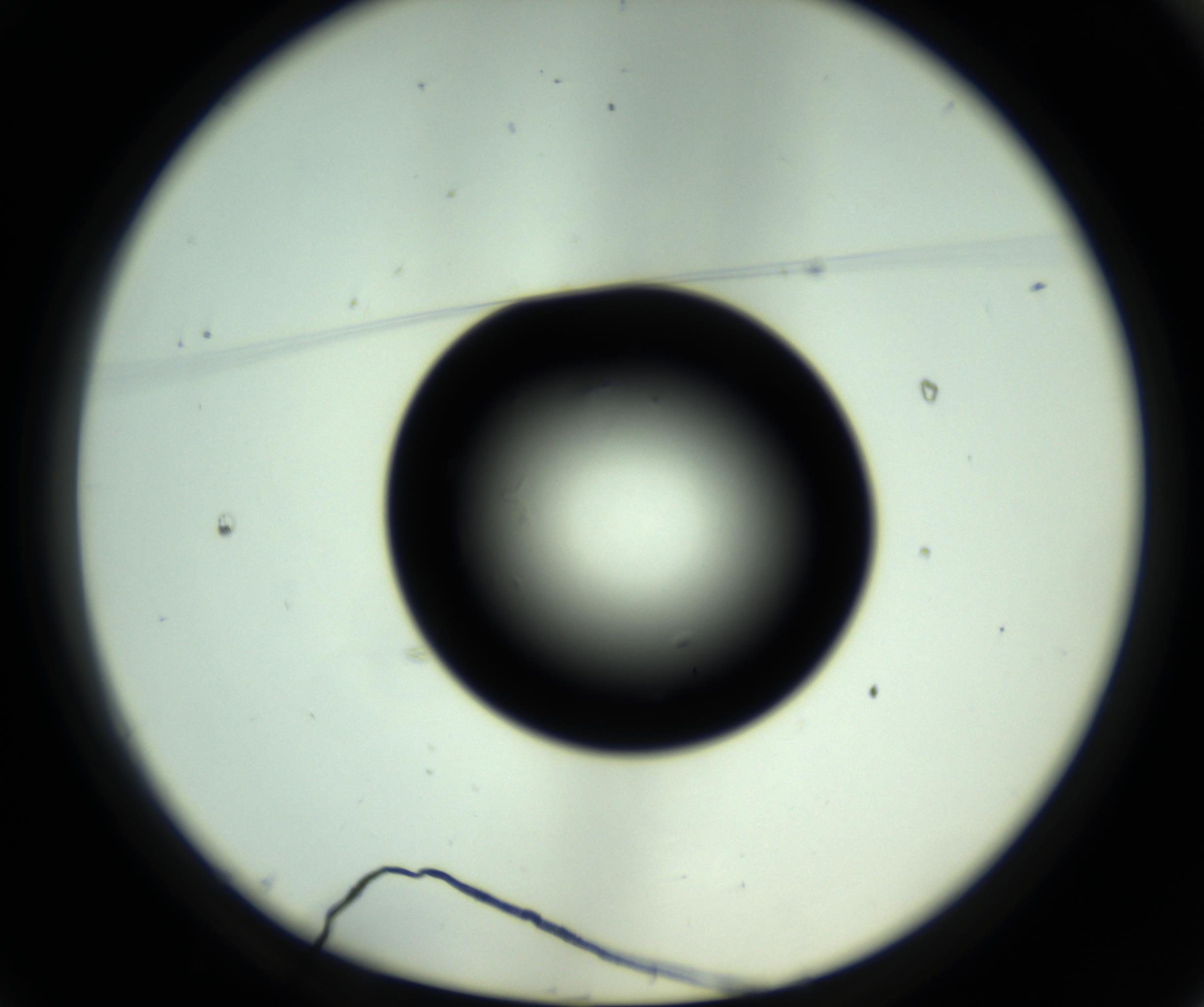 RI01_03_000_0212_Proj1_Clon1_MC_0000MC102810_006_161013_01_01_01_00_98_002_001_RAI.jpg