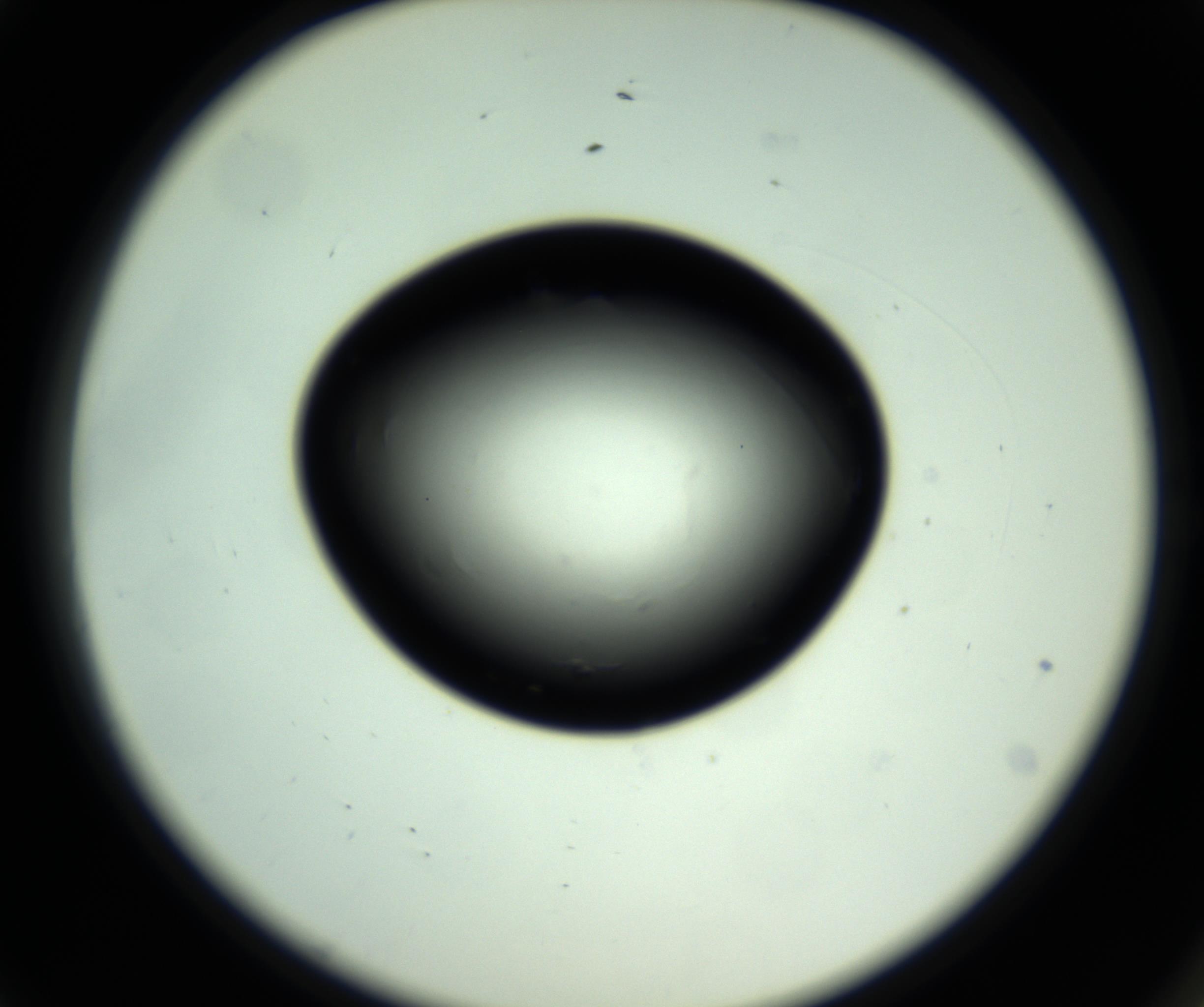 RI01_03_000_0212_Proj1_Clon1_MC_0000MC102810_006_161013_01_01_02_00_98_002_001_RAI.jpg