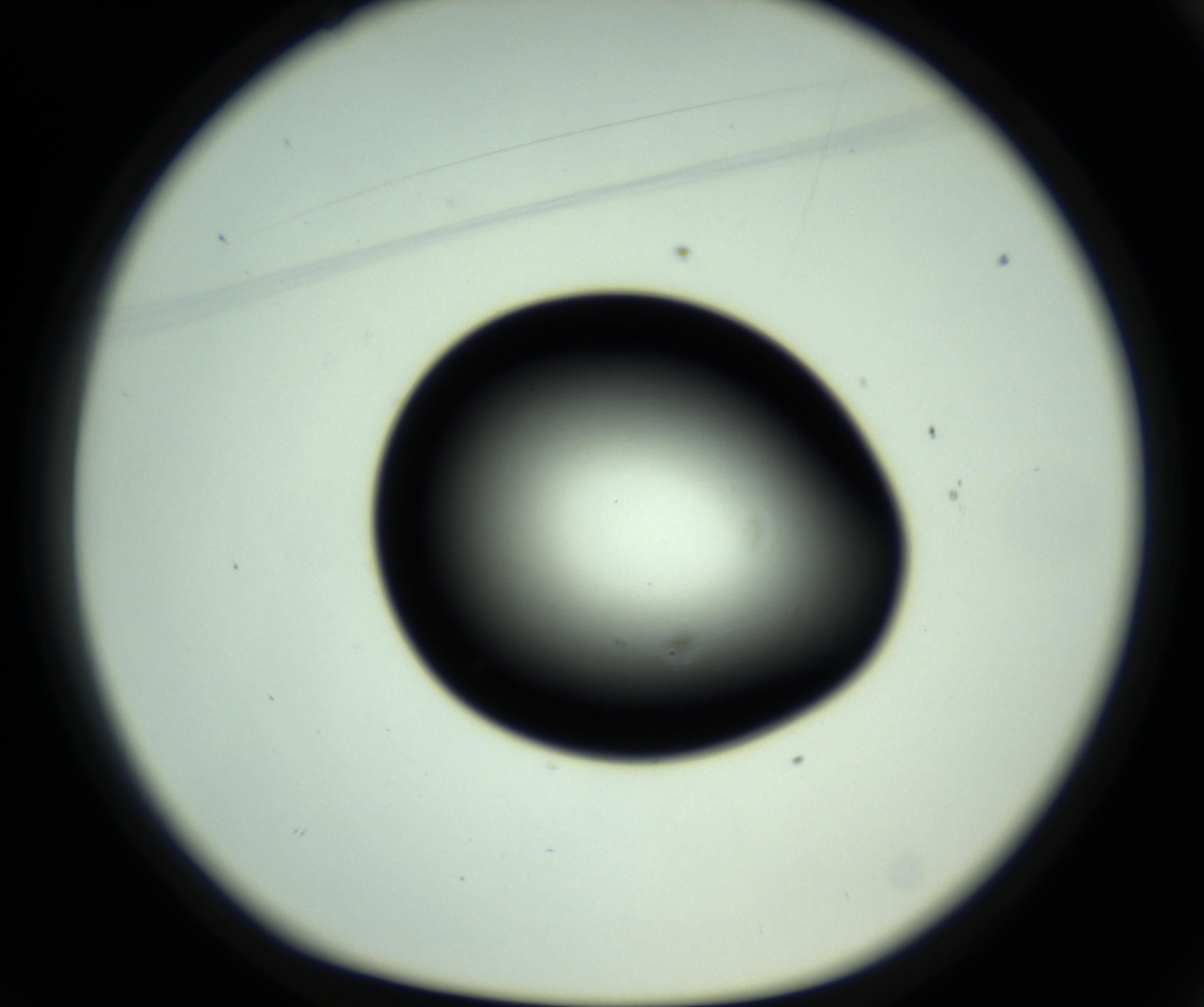 RI01_03_000_0212_Proj1_Clon1_MC_0000MC102810_006_161013_01_02_01_00_98_002_001_RAI.jpg