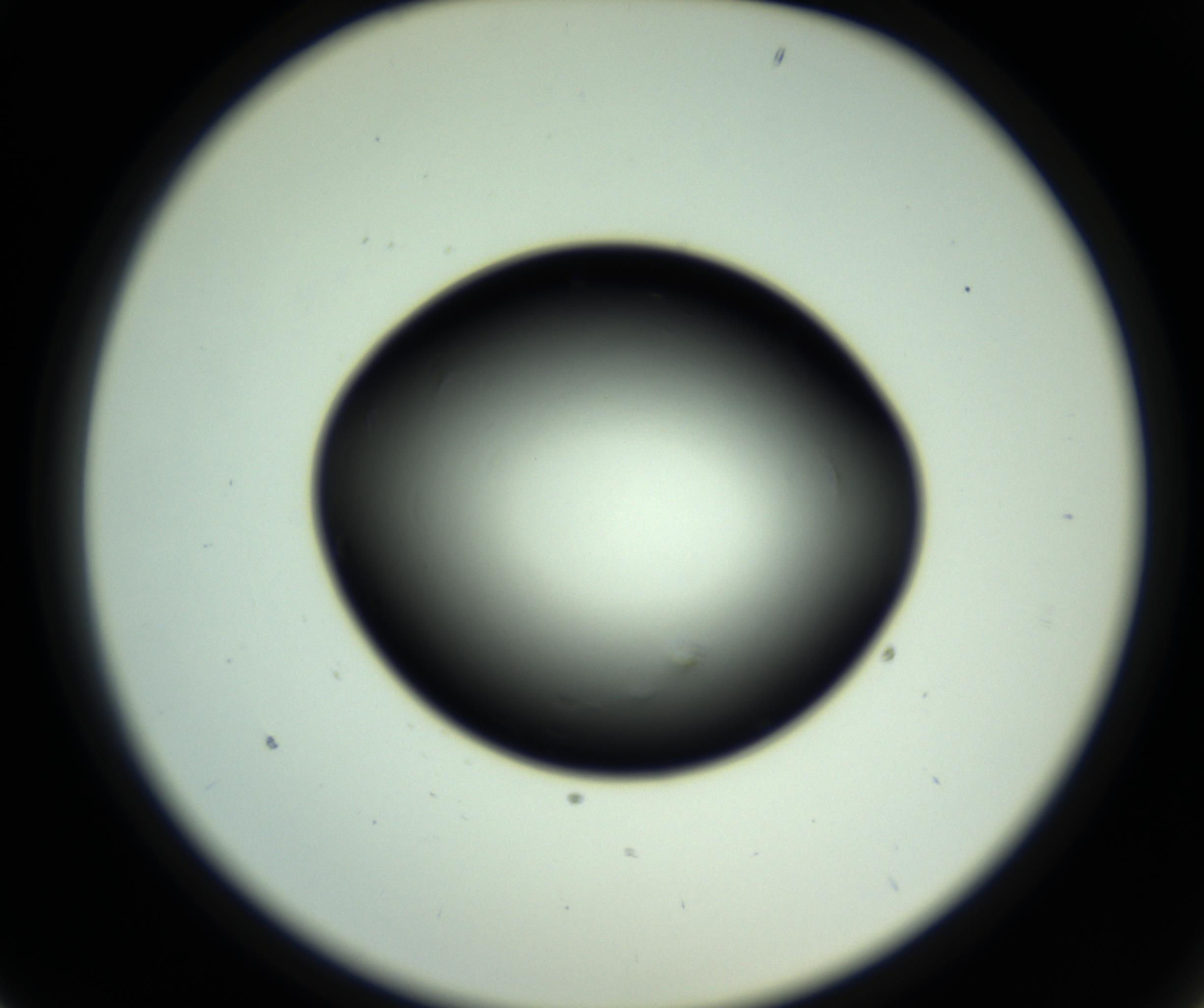 RI01_03_000_0212_Proj1_Clon1_MC_0000MC102810_006_161013_01_02_02_00_98_002_001_RAI.jpg
