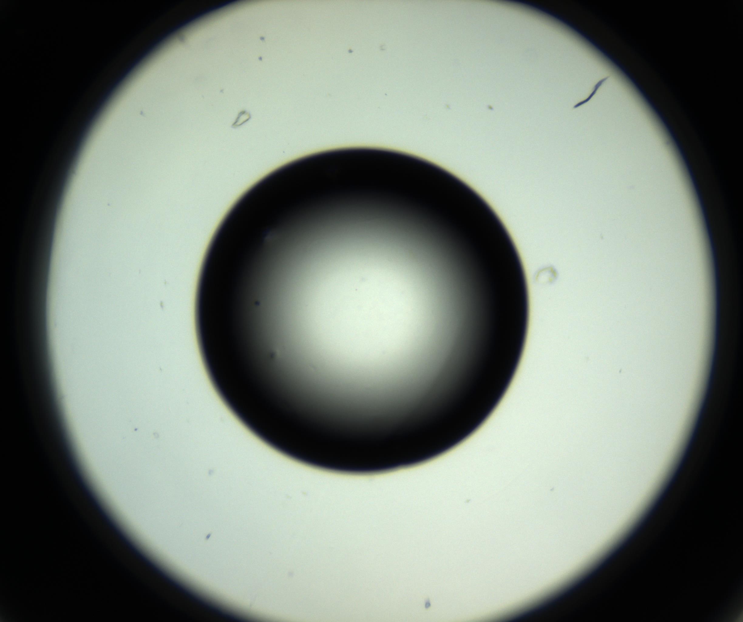 RI01_03_000_0212_Proj1_Clon1_MC_0000MC102810_006_161013_01_03_02_00_98_002_001_RAI.jpg