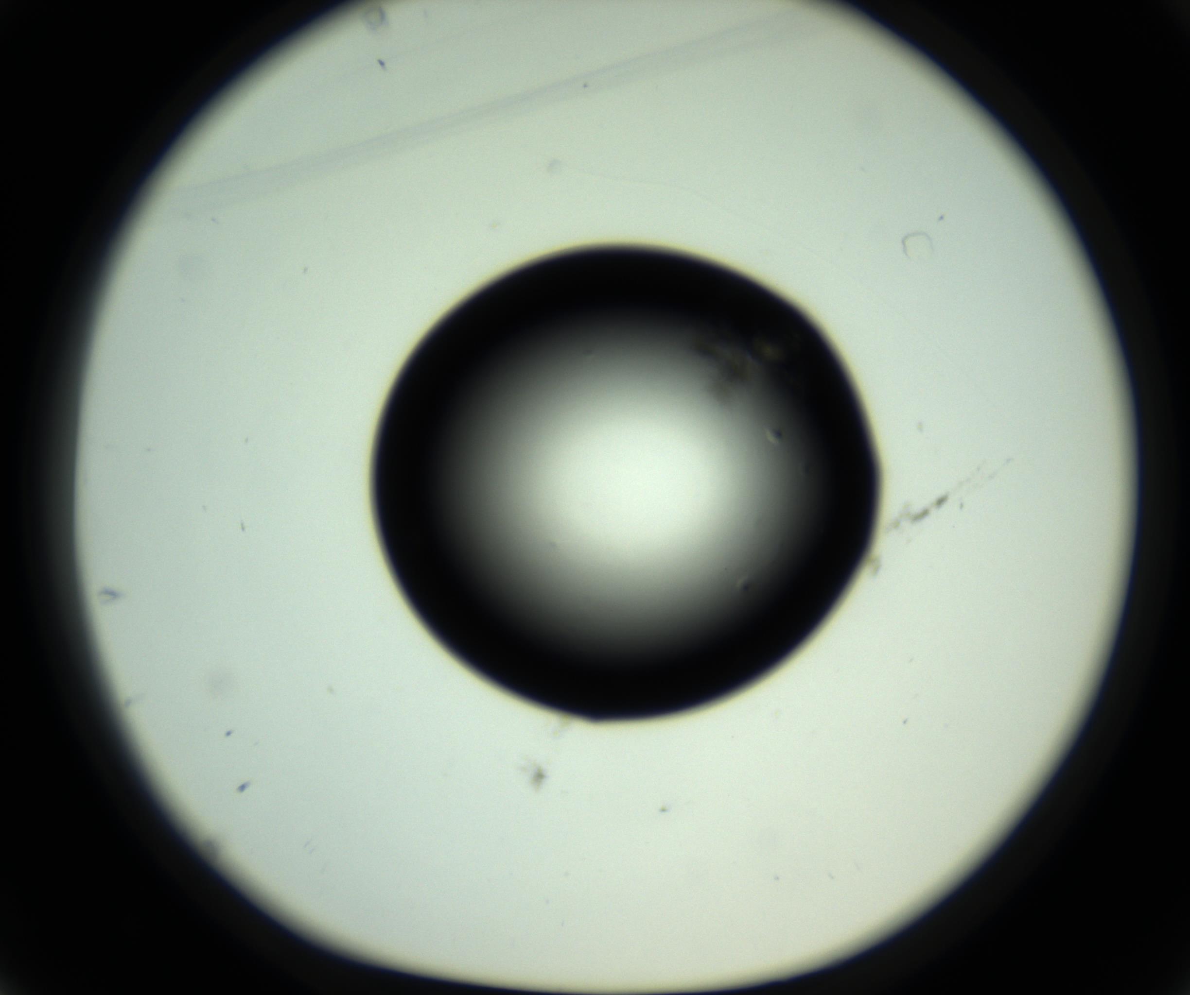 RI01_03_000_0212_Proj1_Clon1_MC_0000MC102810_006_161013_01_04_01_00_98_002_001_RAI.jpg