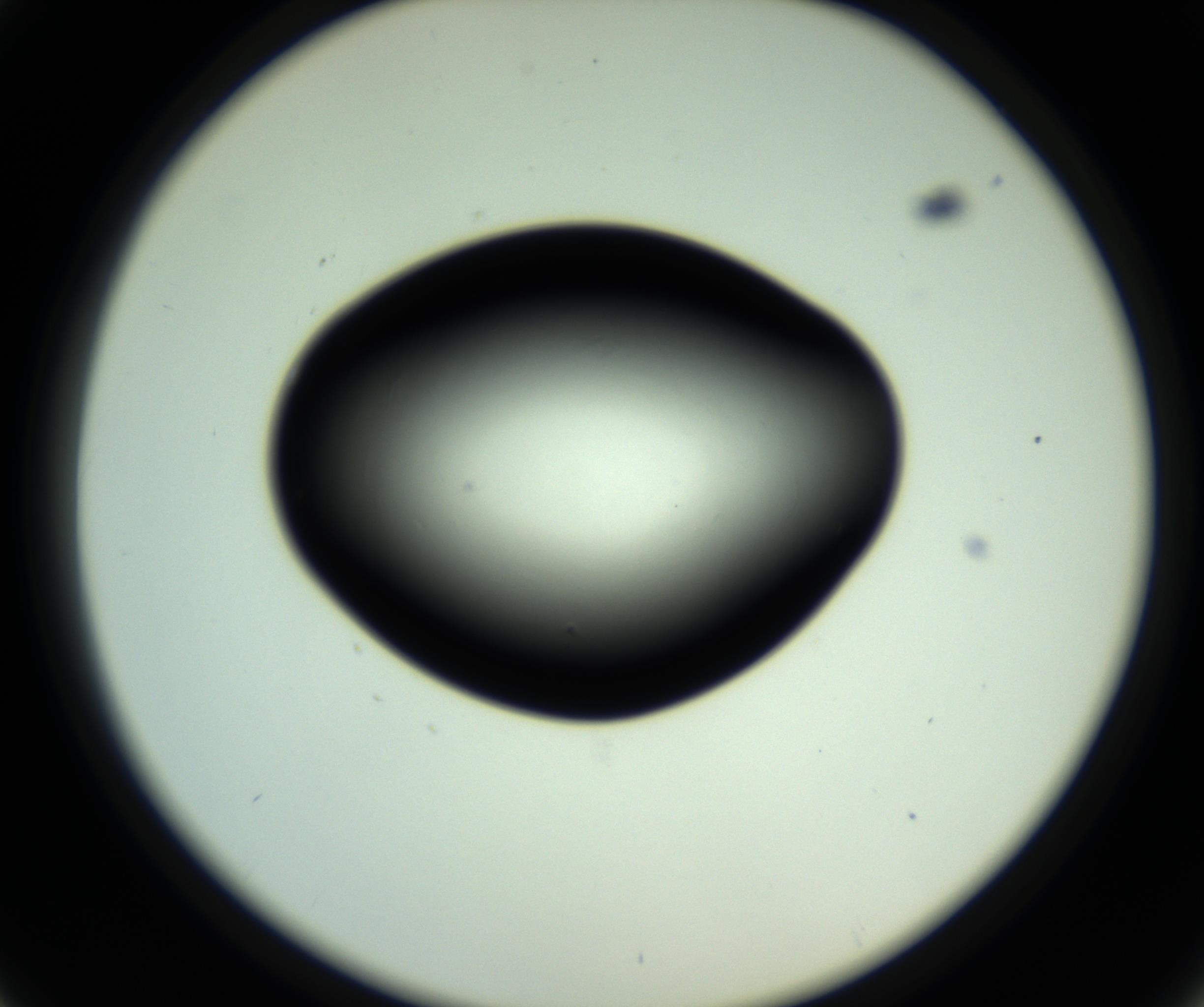 RI01_03_000_0212_Proj1_Clon1_MC_0000MC102810_006_161013_01_04_02_00_98_002_001_RAI.jpg