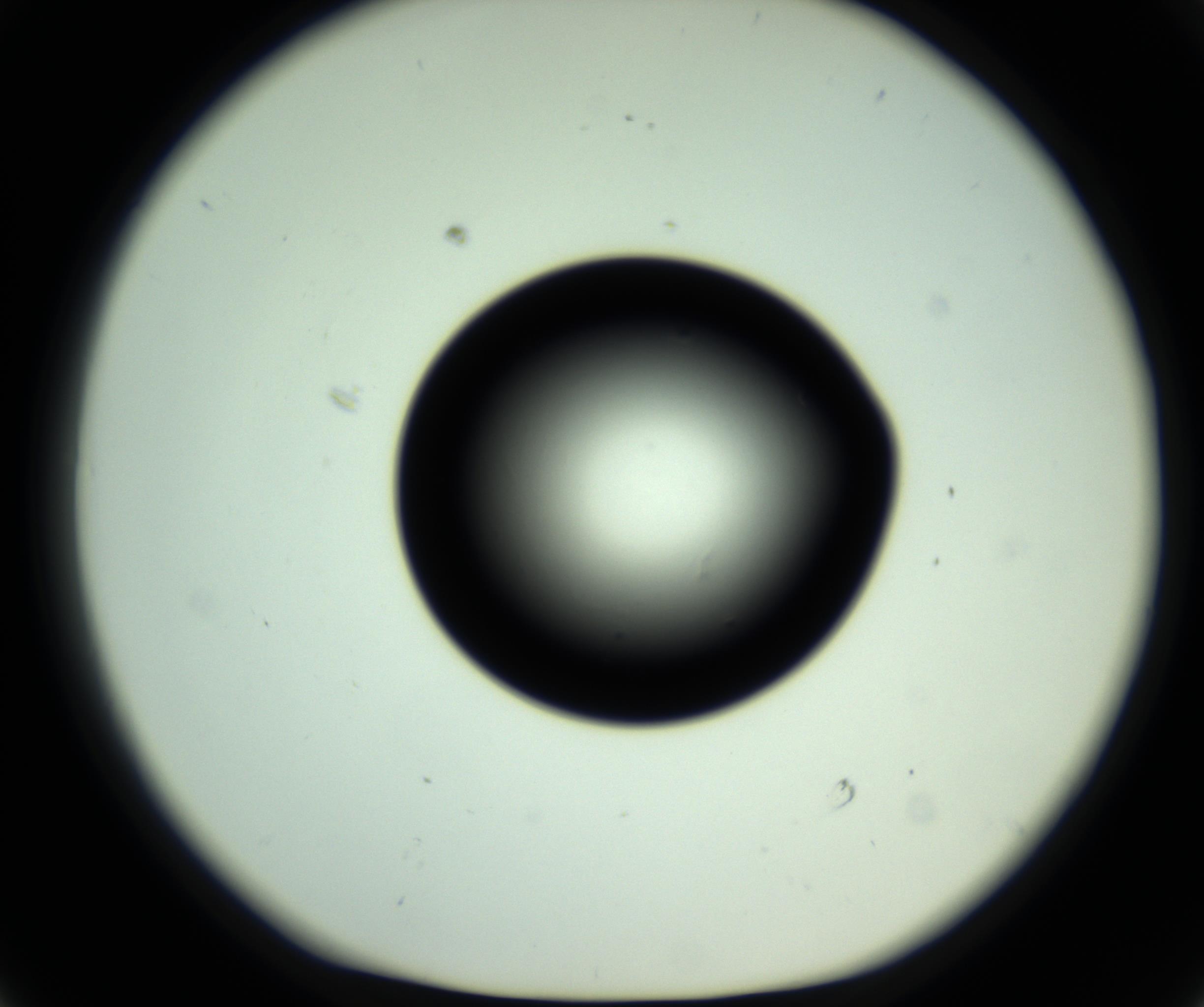 RI01_03_000_0212_Proj1_Clon1_MC_0000MC102810_006_161013_01_05_01_00_98_002_001_RAI.jpg