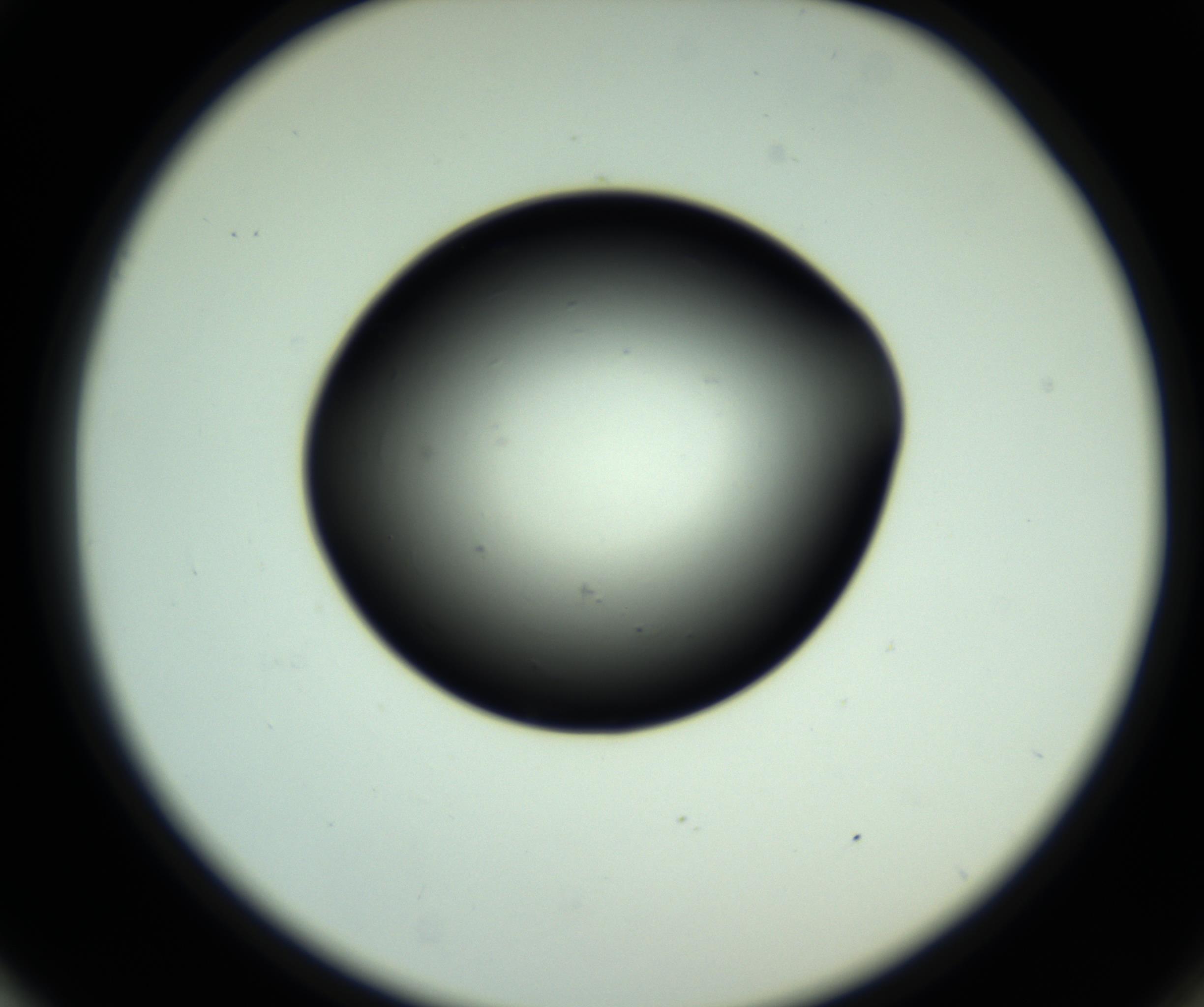 RI01_03_000_0212_Proj1_Clon1_MC_0000MC102810_006_161013_01_05_02_00_98_002_001_RAI.jpg