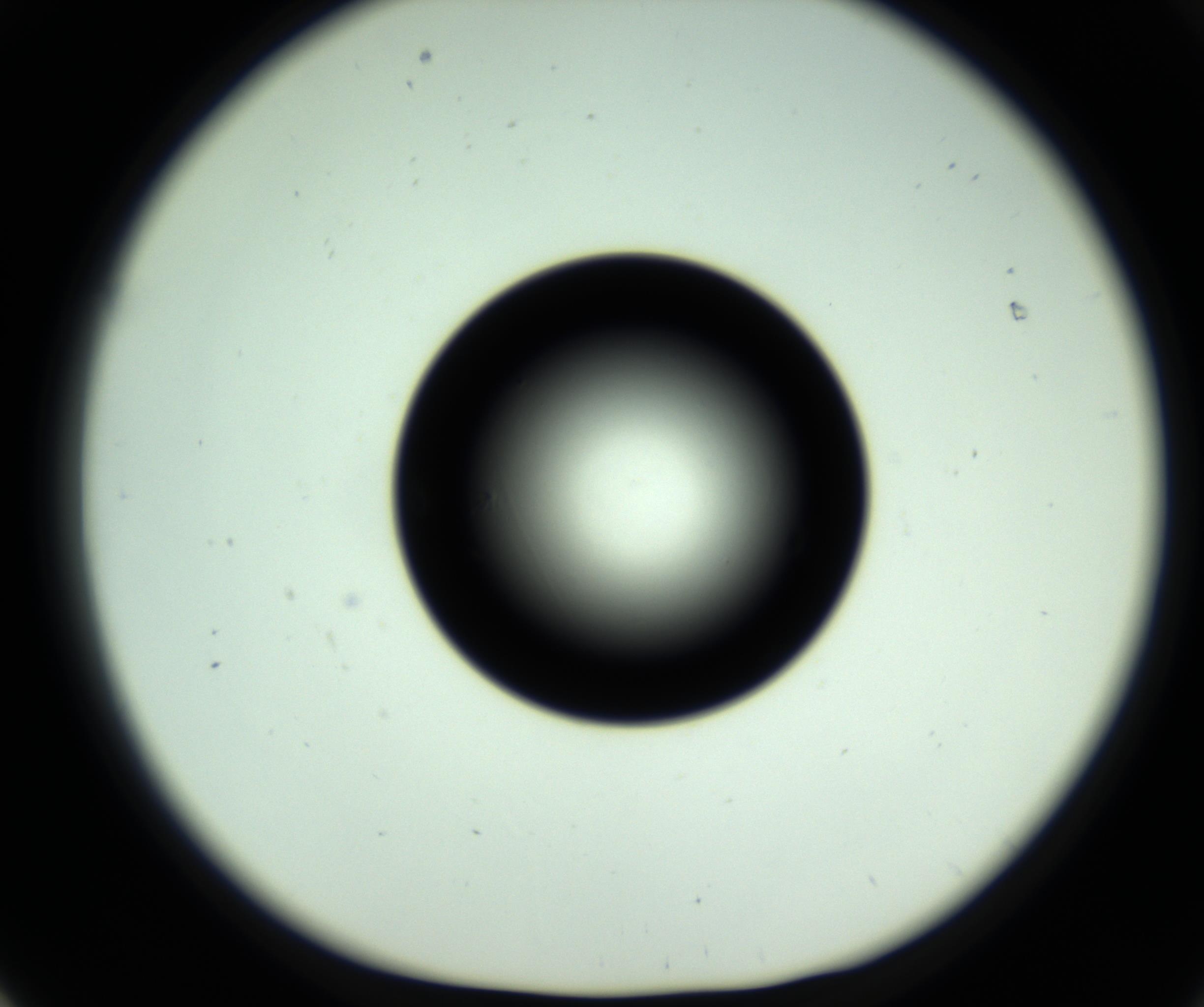 RI01_03_000_0212_Proj1_Clon1_MC_0000MC102810_006_161013_01_06_01_00_98_002_001_RAI.jpg