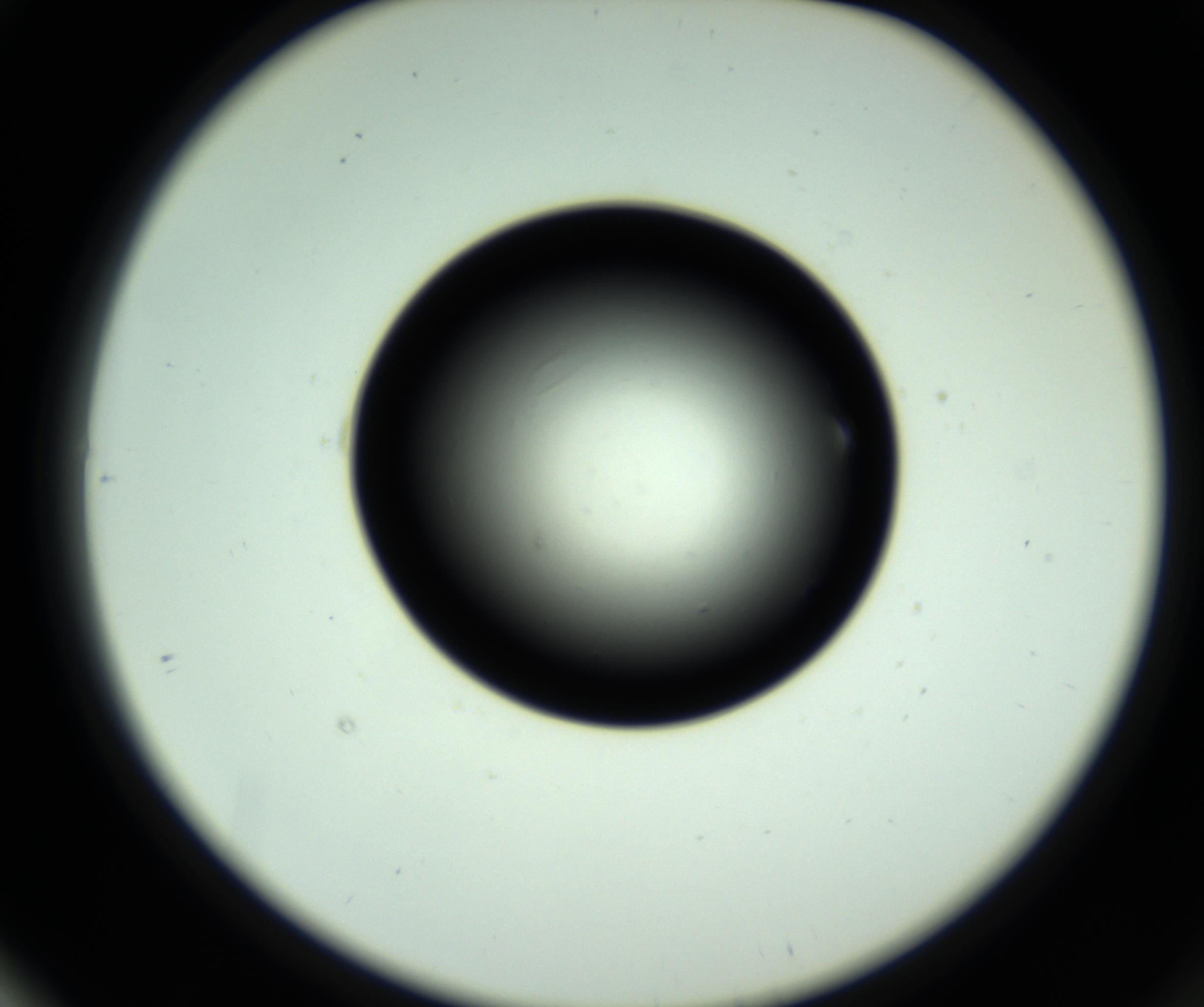 RI01_03_000_0212_Proj1_Clon1_MC_0000MC102810_006_161013_01_06_02_00_98_002_001_RAI.jpg