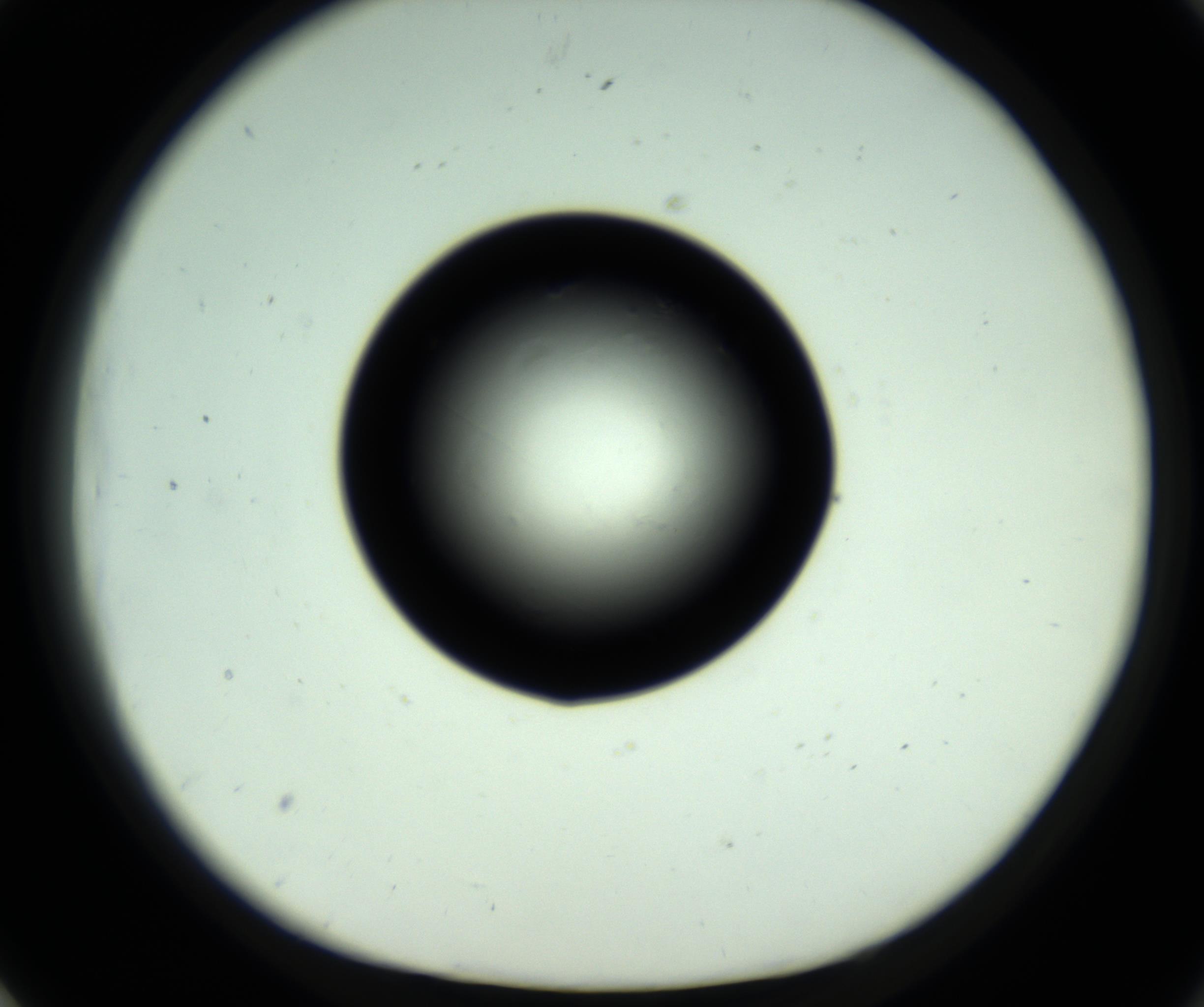 RI01_03_000_0212_Proj1_Clon1_MC_0000MC102810_006_161013_01_07_01_00_98_002_001_RAI.jpg