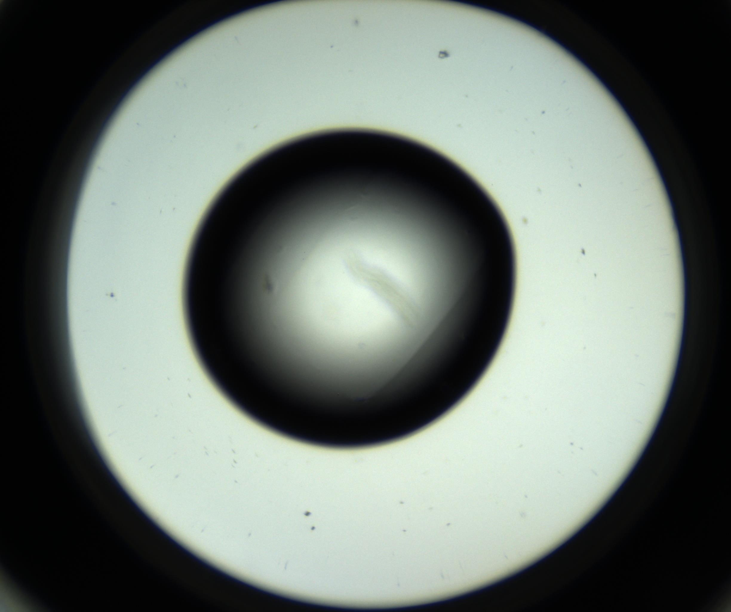 RI01_03_000_0212_Proj1_Clon1_MC_0000MC102810_006_161013_01_07_02_00_98_002_001_RAI.jpg