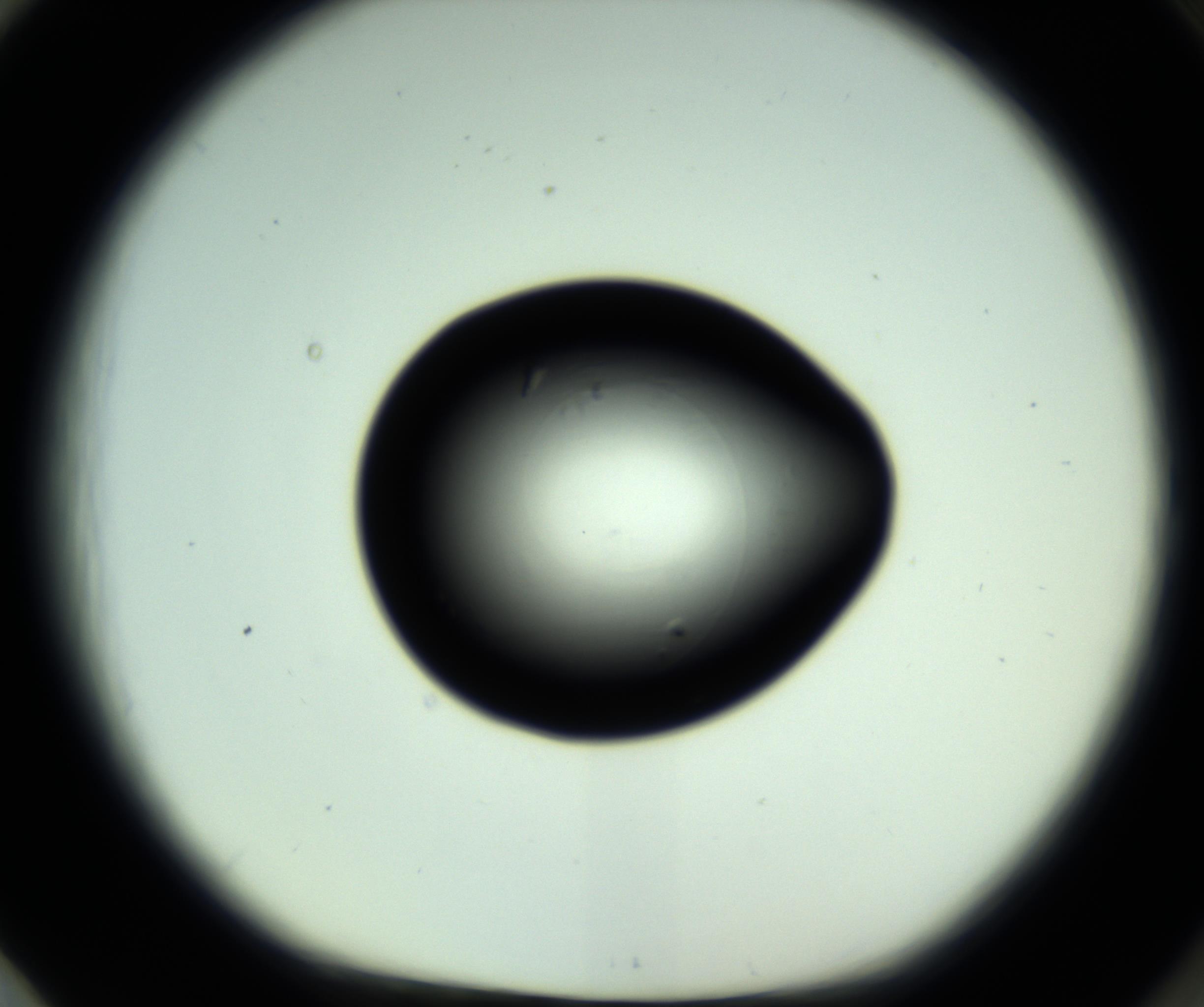 RI01_03_000_0212_Proj1_Clon1_MC_0000MC102810_006_161013_01_08_01_00_98_002_001_RAI.jpg