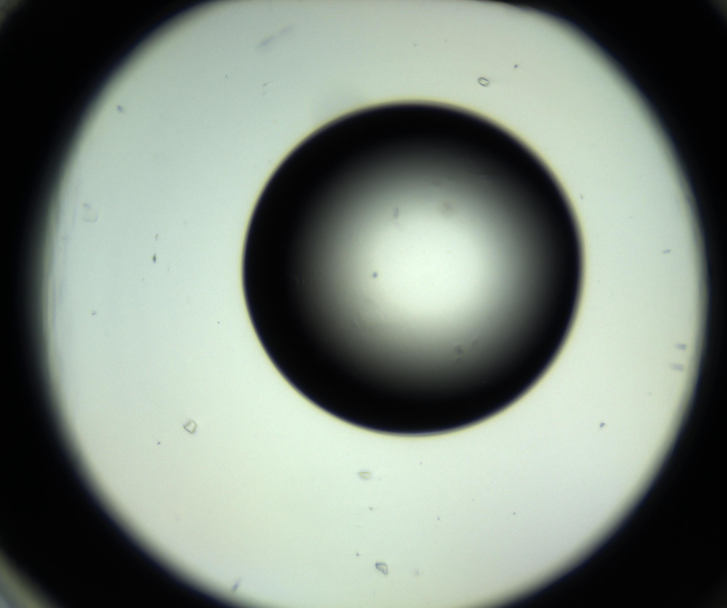 RI01_03_000_0212_Proj1_Clon1_MC_0000MC102810_006_161013_01_08_02_00_98_002_001_RAI.jpg