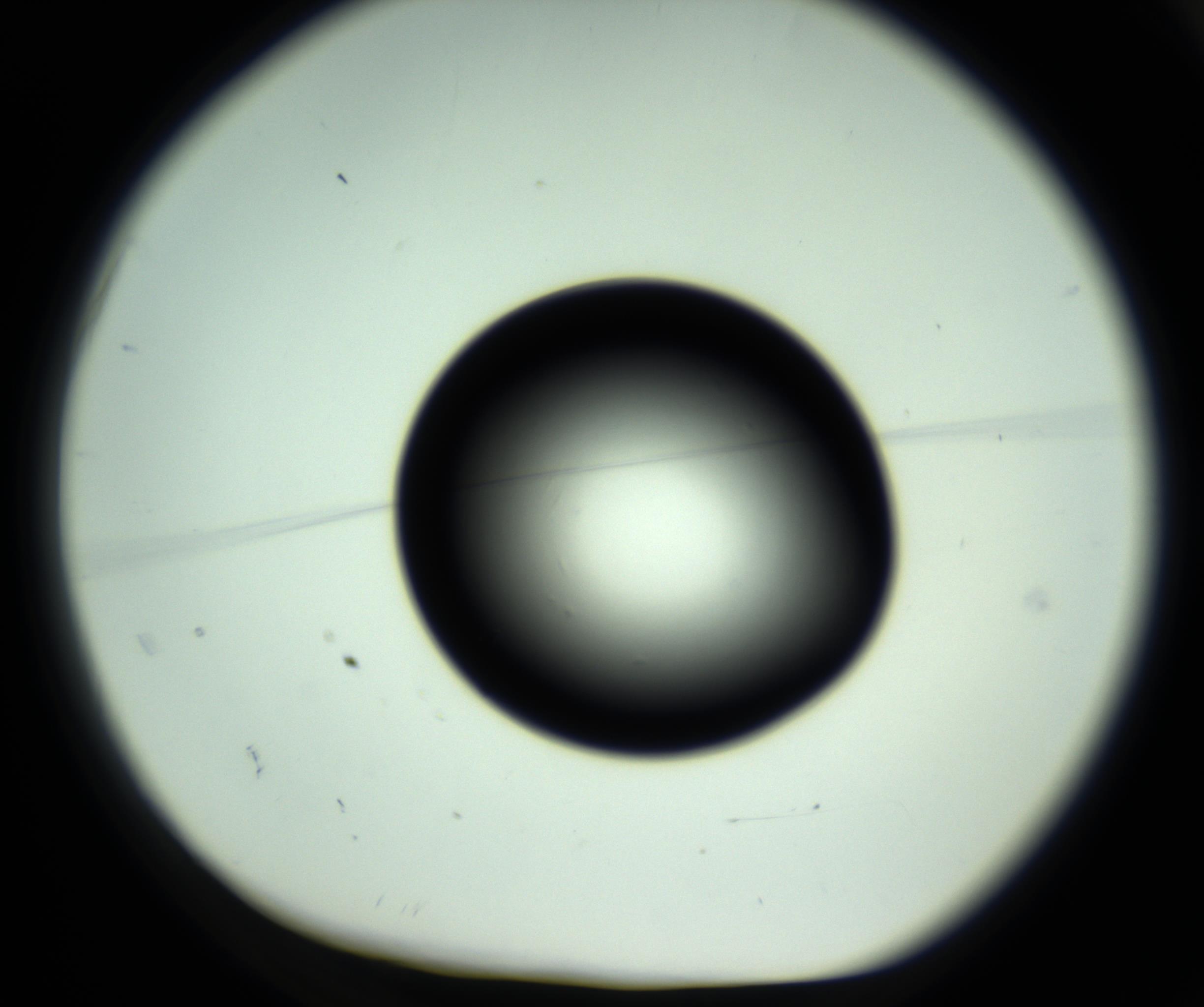 RI01_03_000_0212_Proj1_Clon1_MC_0000MC102810_006_161013_02_01_01_00_98_002_001_RAI.jpg