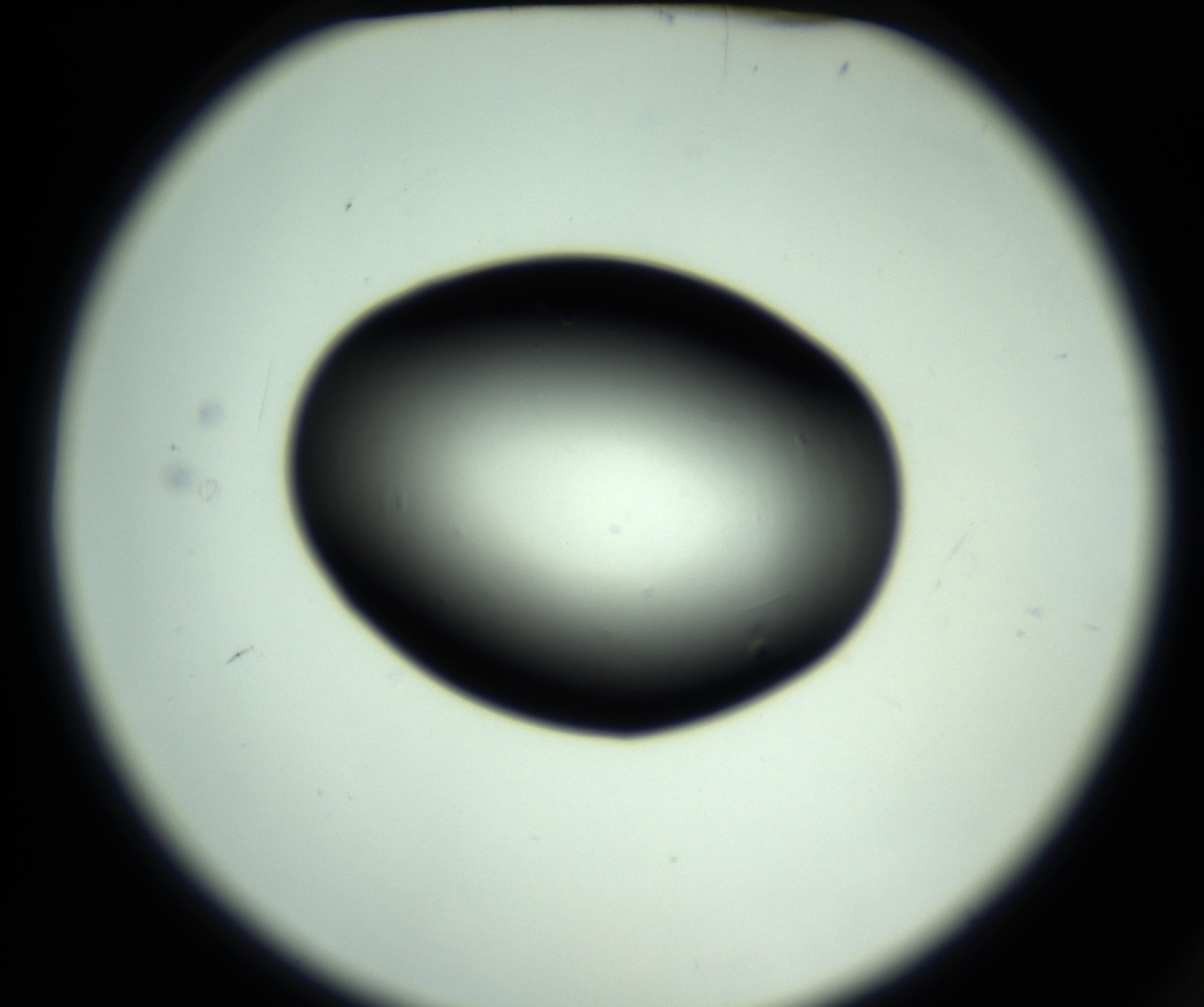 RI01_03_000_0212_Proj1_Clon1_MC_0000MC102810_006_161013_02_01_02_00_98_002_001_RAI.jpg