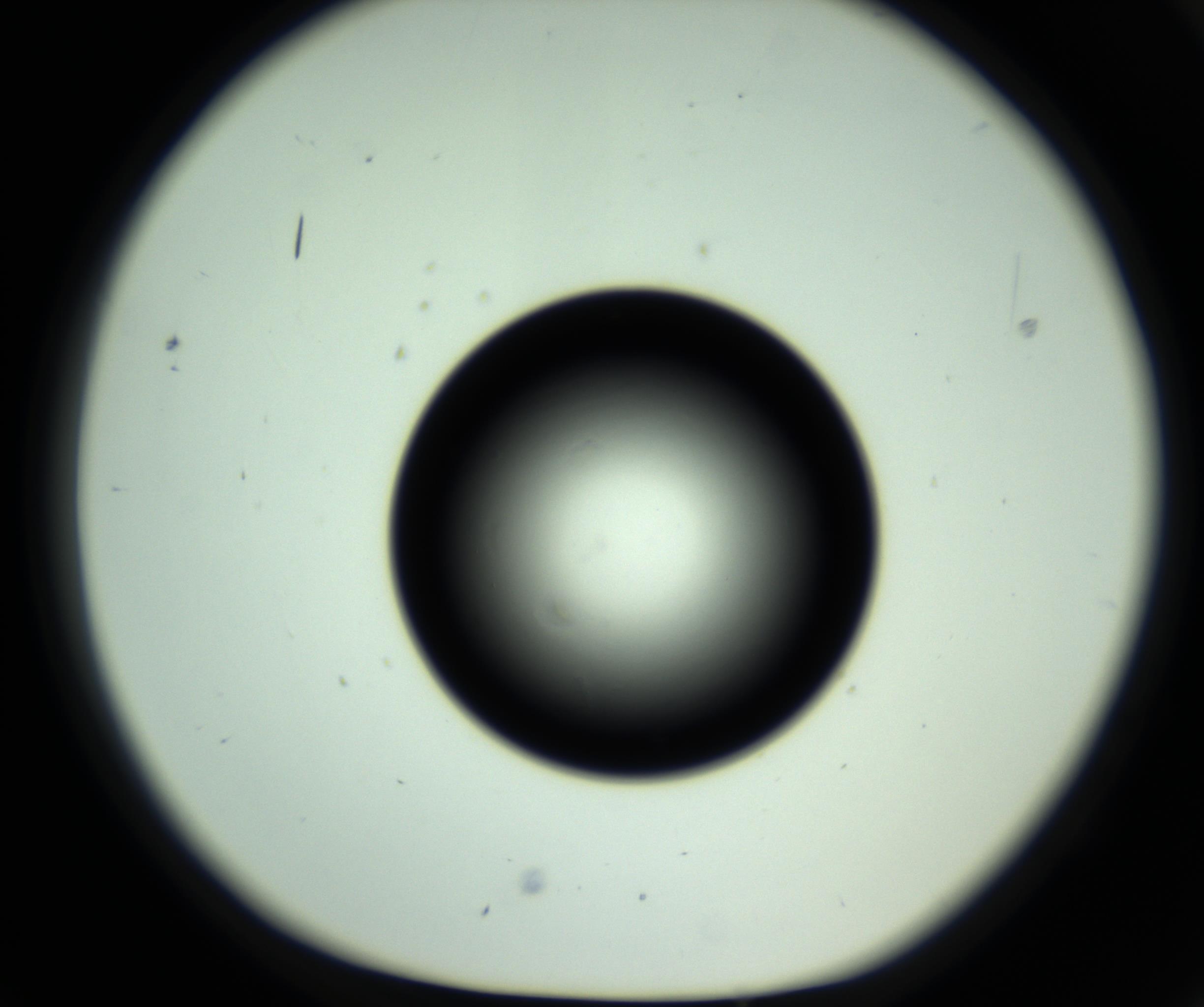 RI01_03_000_0212_Proj1_Clon1_MC_0000MC102810_006_161013_02_02_01_00_98_002_001_RAI.jpg